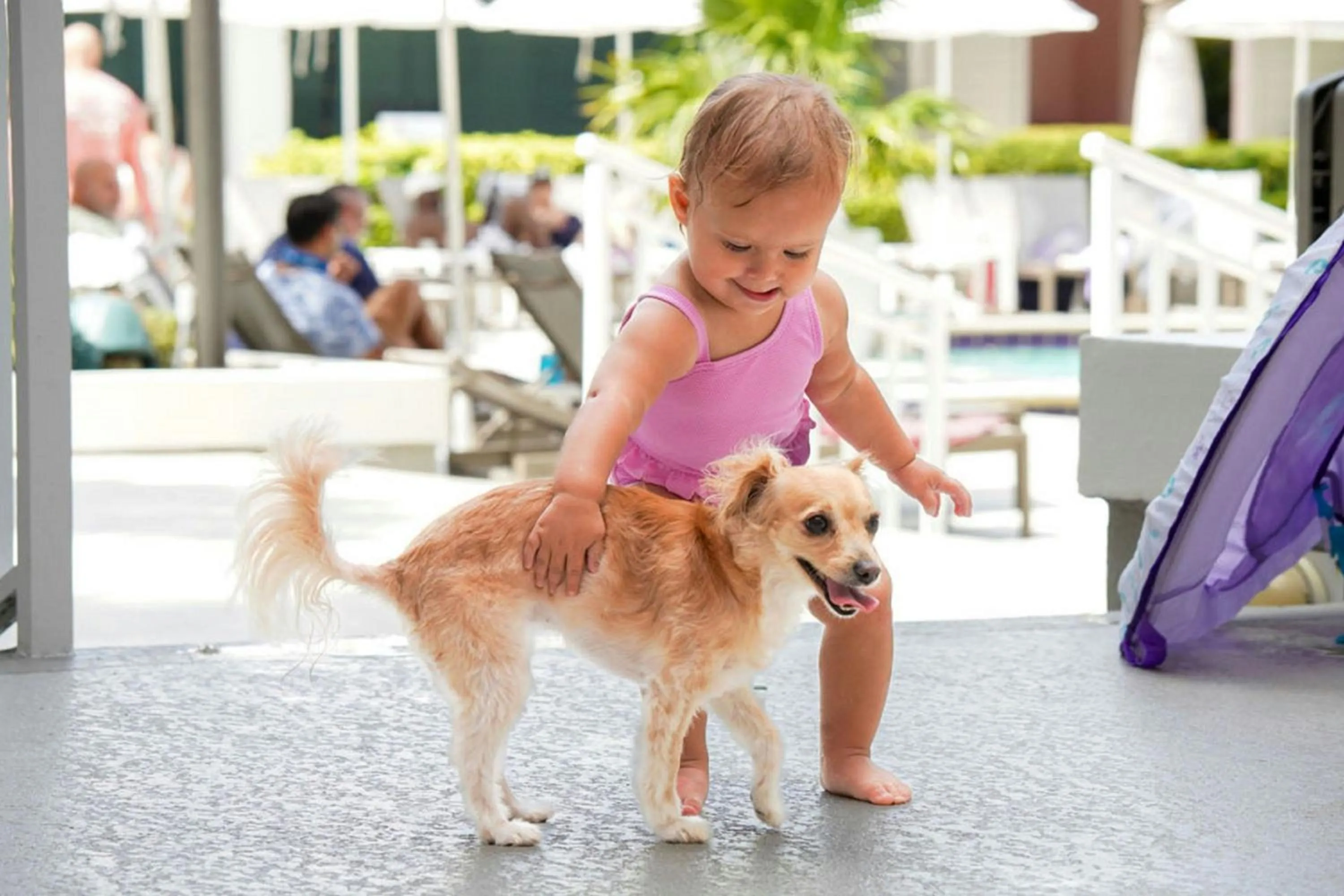 Swimming pool in Marriott Hutchinson Island Beach Resort, Golf & Marina