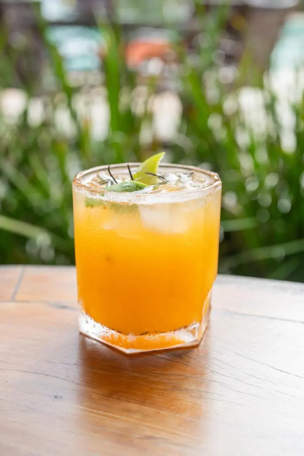 Restaurant/places to eat in Terra Boa Hotel Boutique Restaurant/places to eat in Terra Boa Hotel Boutique