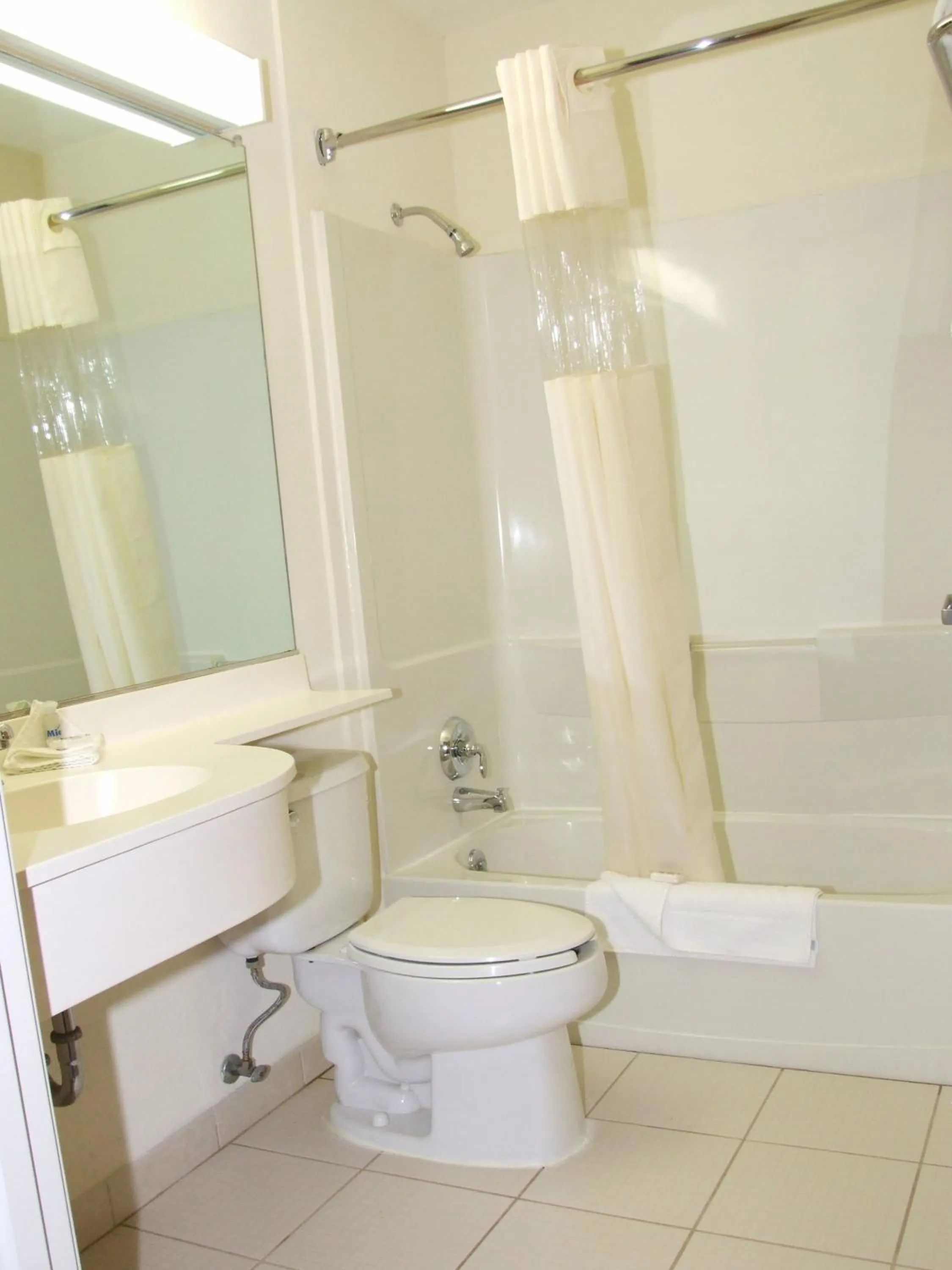 Bathroom in Microtel Inn & Suites by Wyndham Culiacán