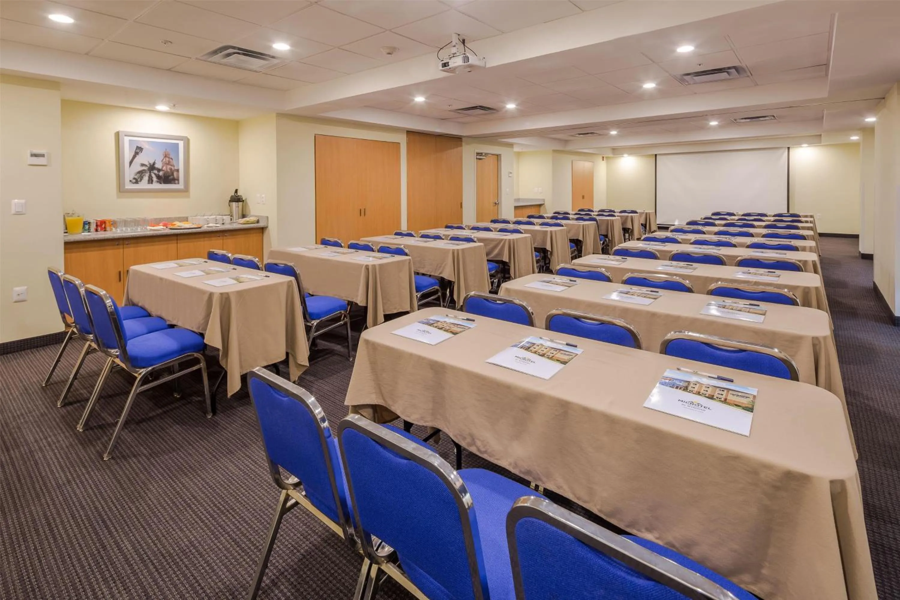 Meeting/conference room in Microtel Inn & Suites by Wyndham Culiacán