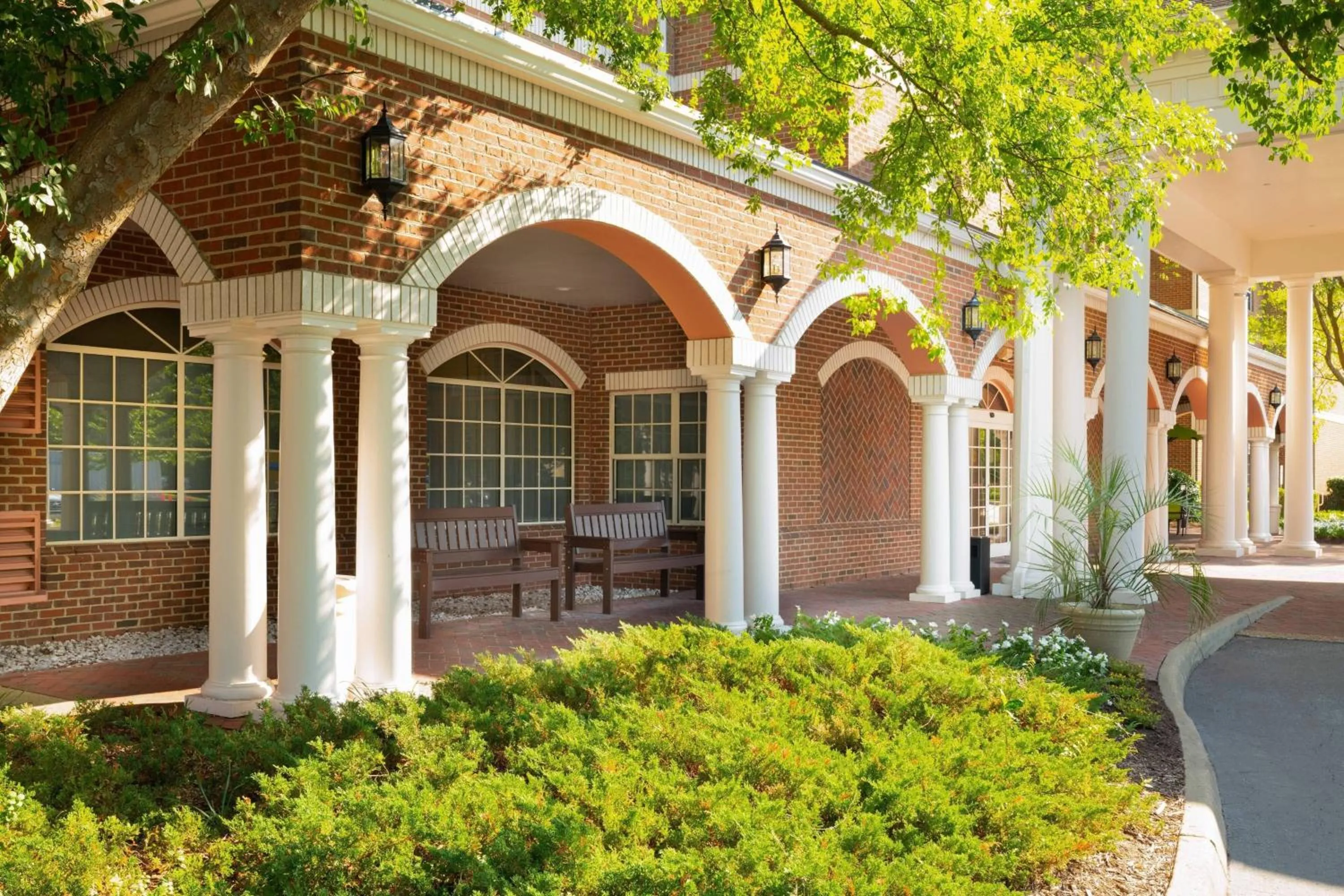 View (from property/room) in SpringHill Suites by Marriott Williamsburg