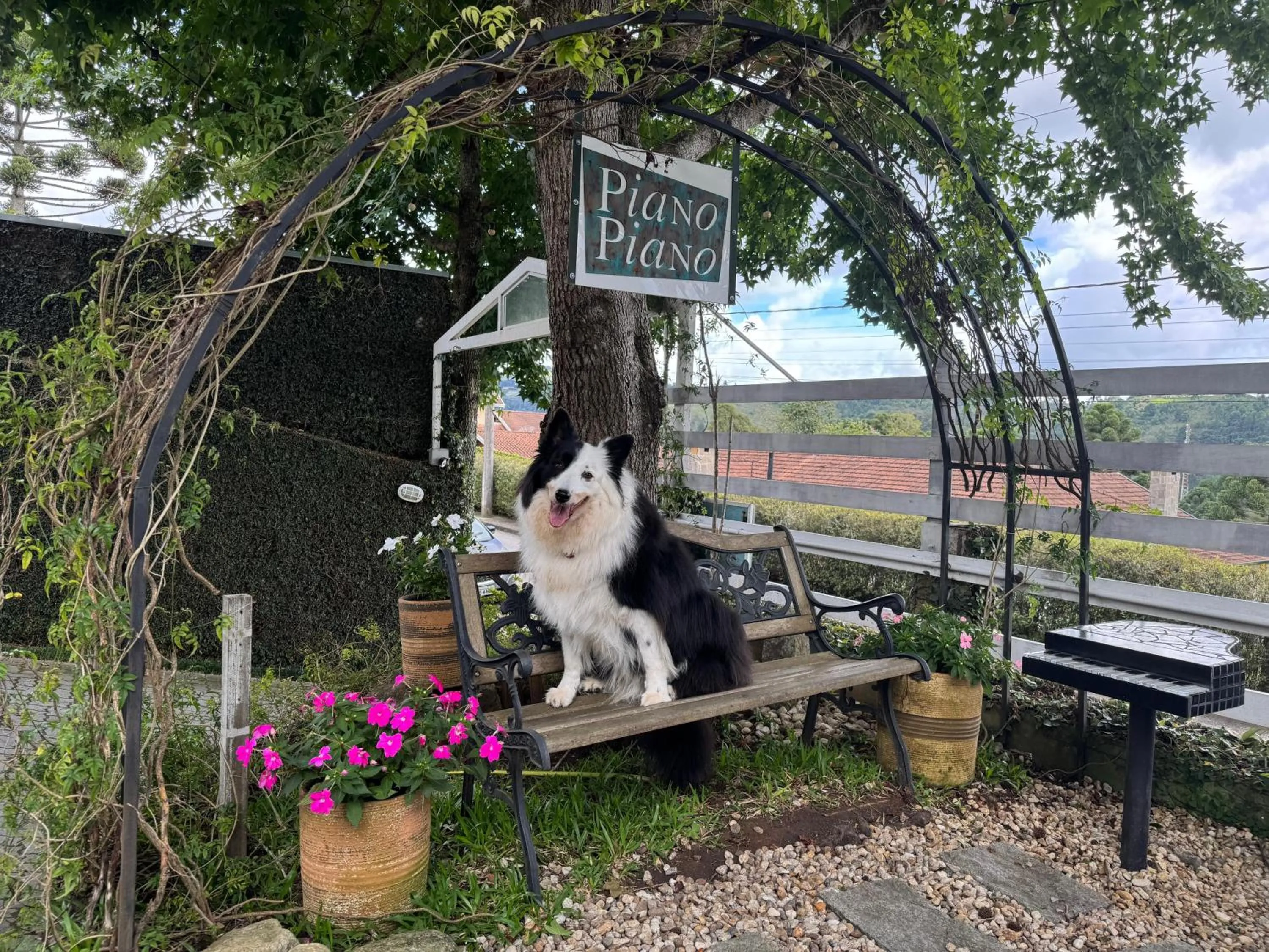 Garden in Pousada Piano Piano
