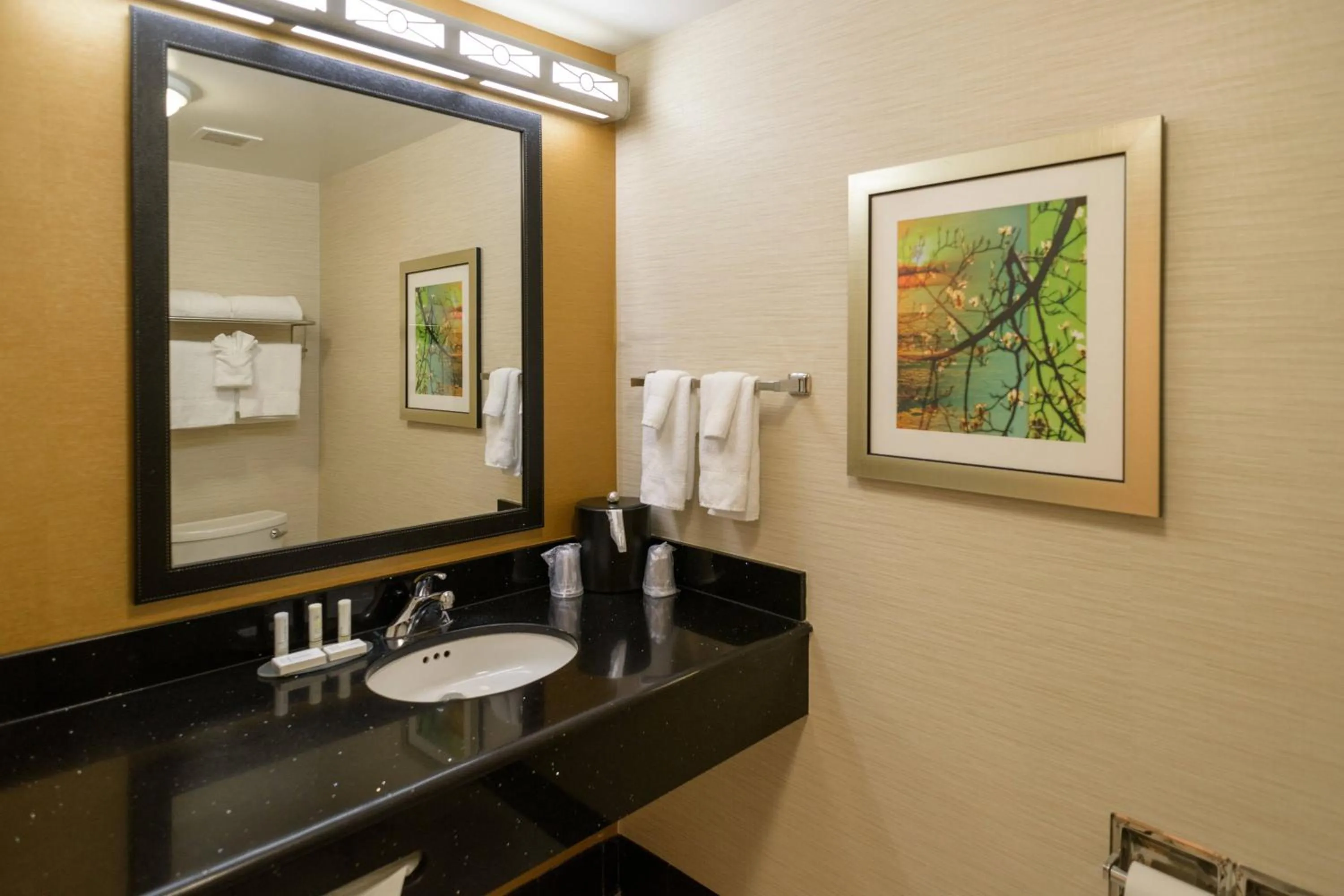Bathroom in Fairfield Inn & Suites Kennett Square