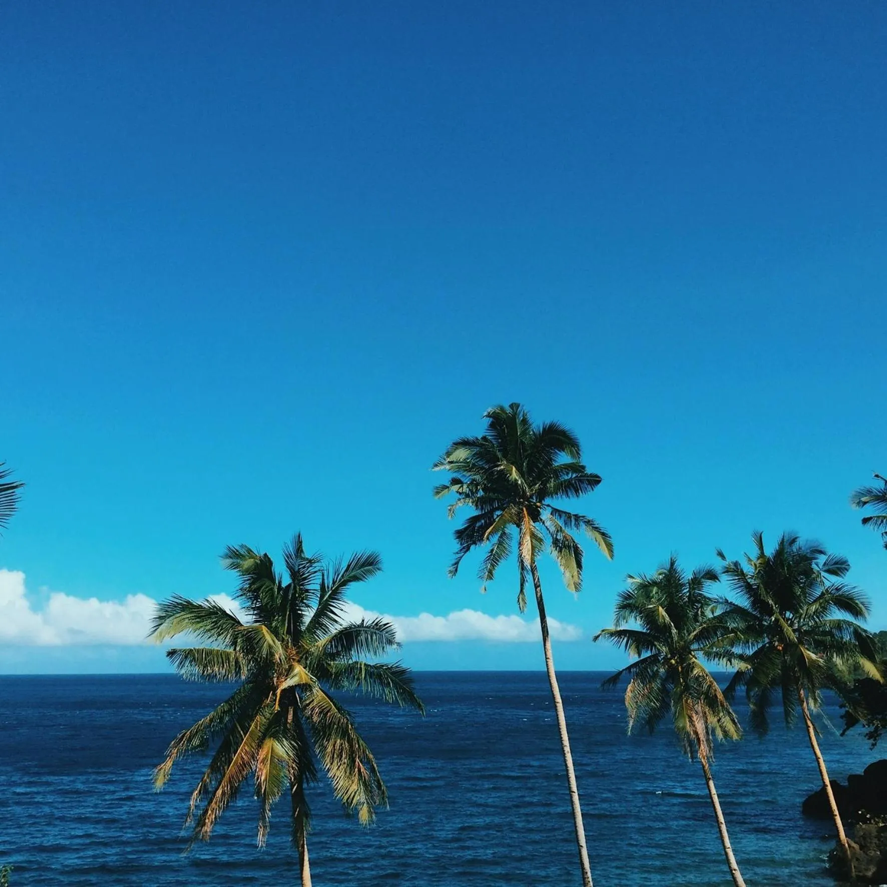 Bird's eye view in Bintana Sa Paraiso