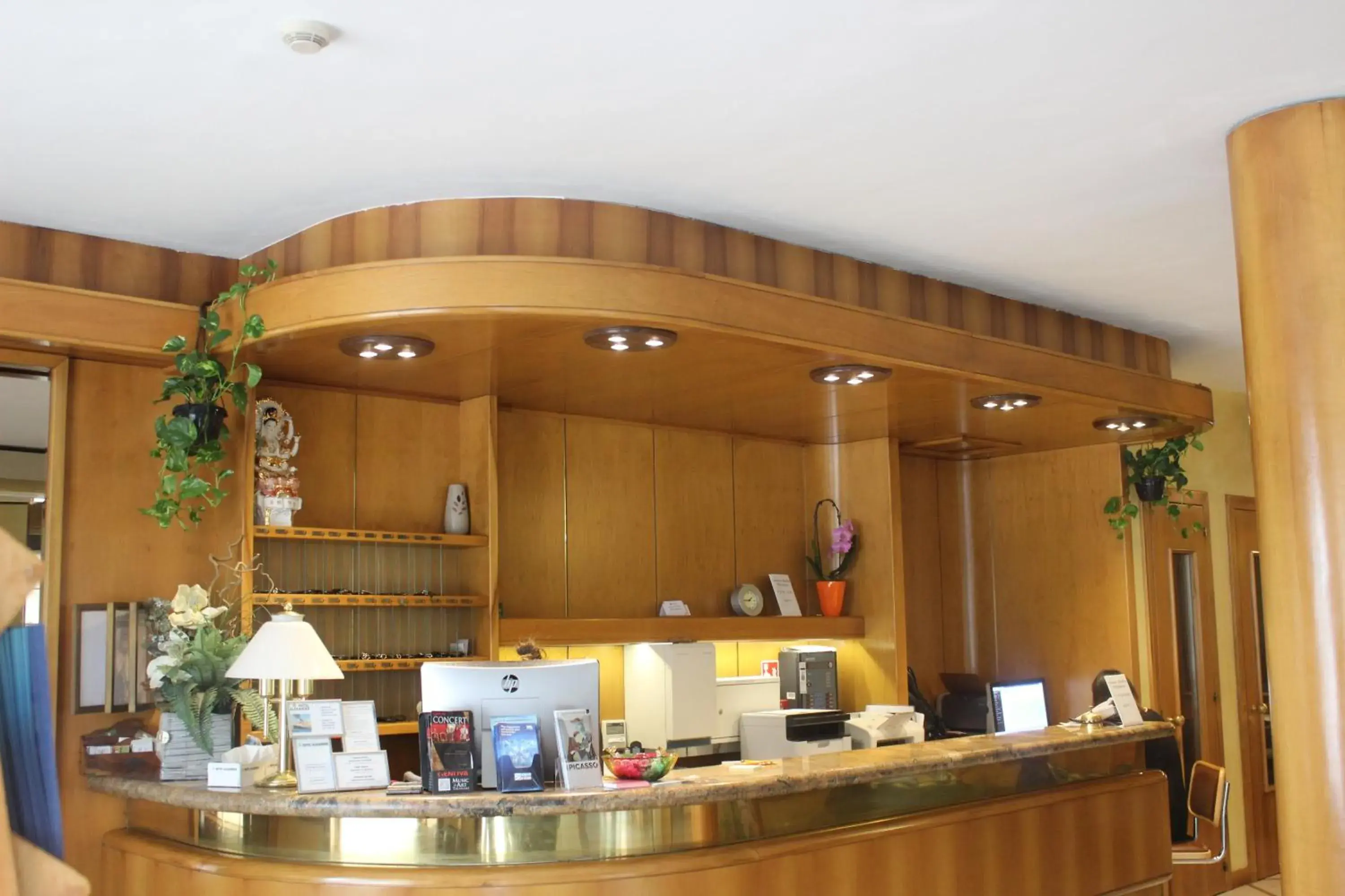 Double Room in New Alexander Hotel Double Room in New Alexander Hotel