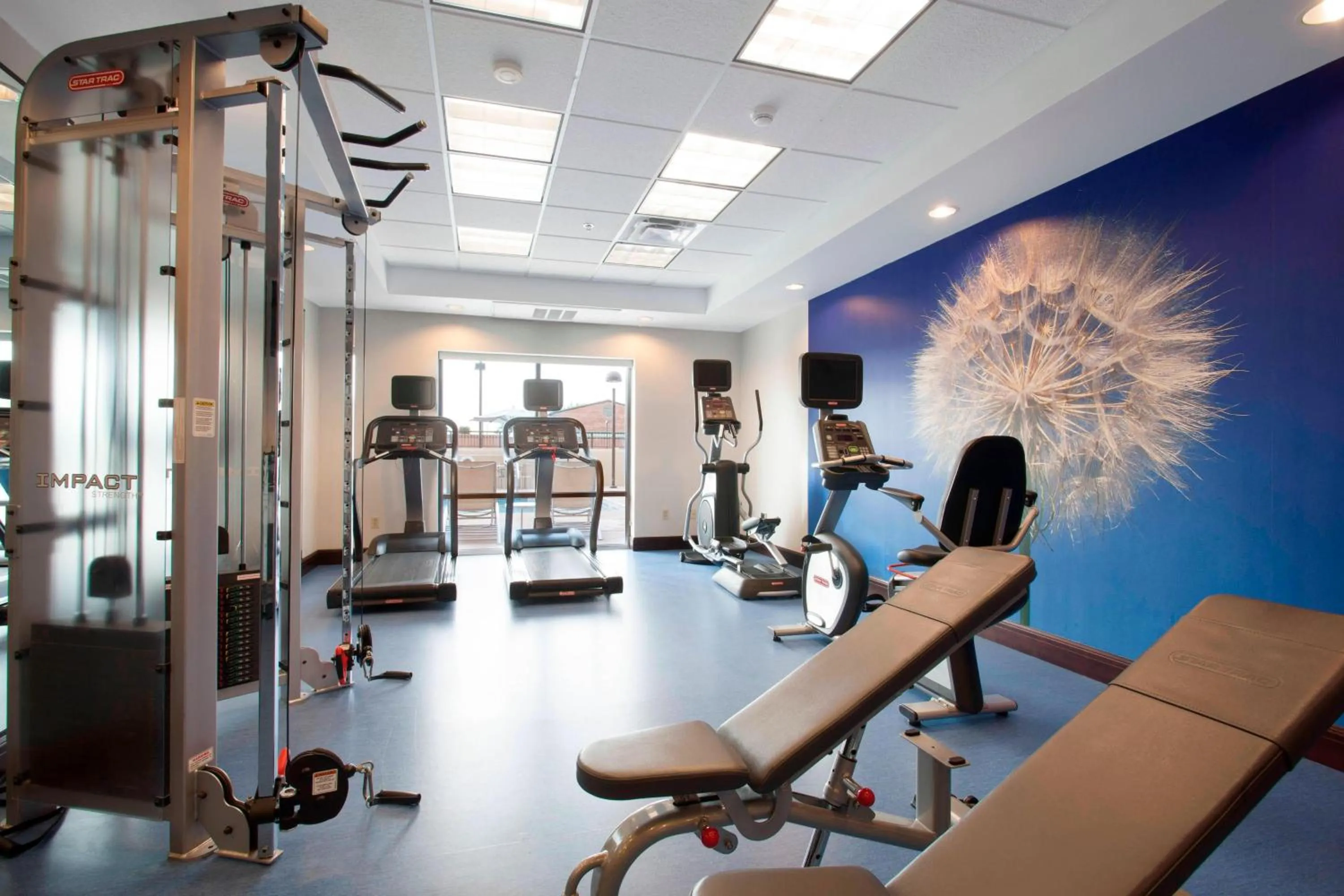 Fitness centre/facilities in SpringHill Suites Phoenix Tempe Airport