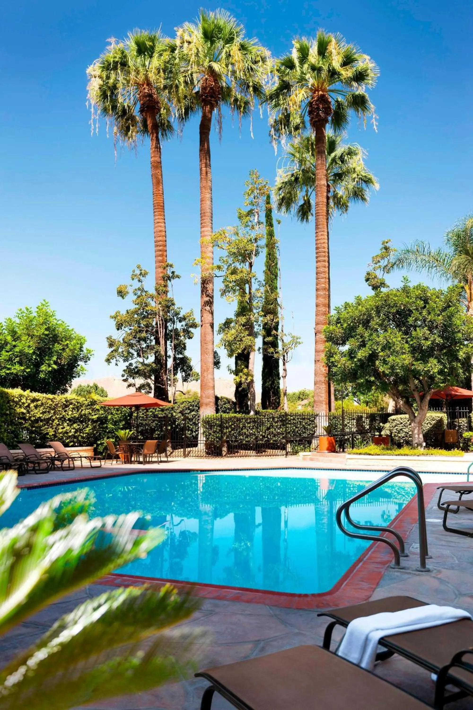 Swimming pool in Marriott Riverside at the Convention Center