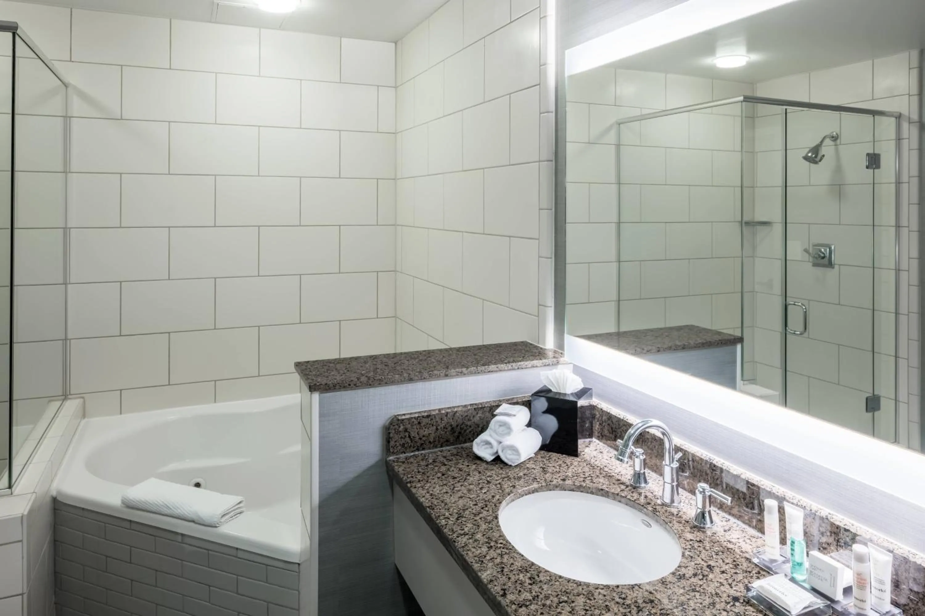 Bathroom in Richmond Marriott