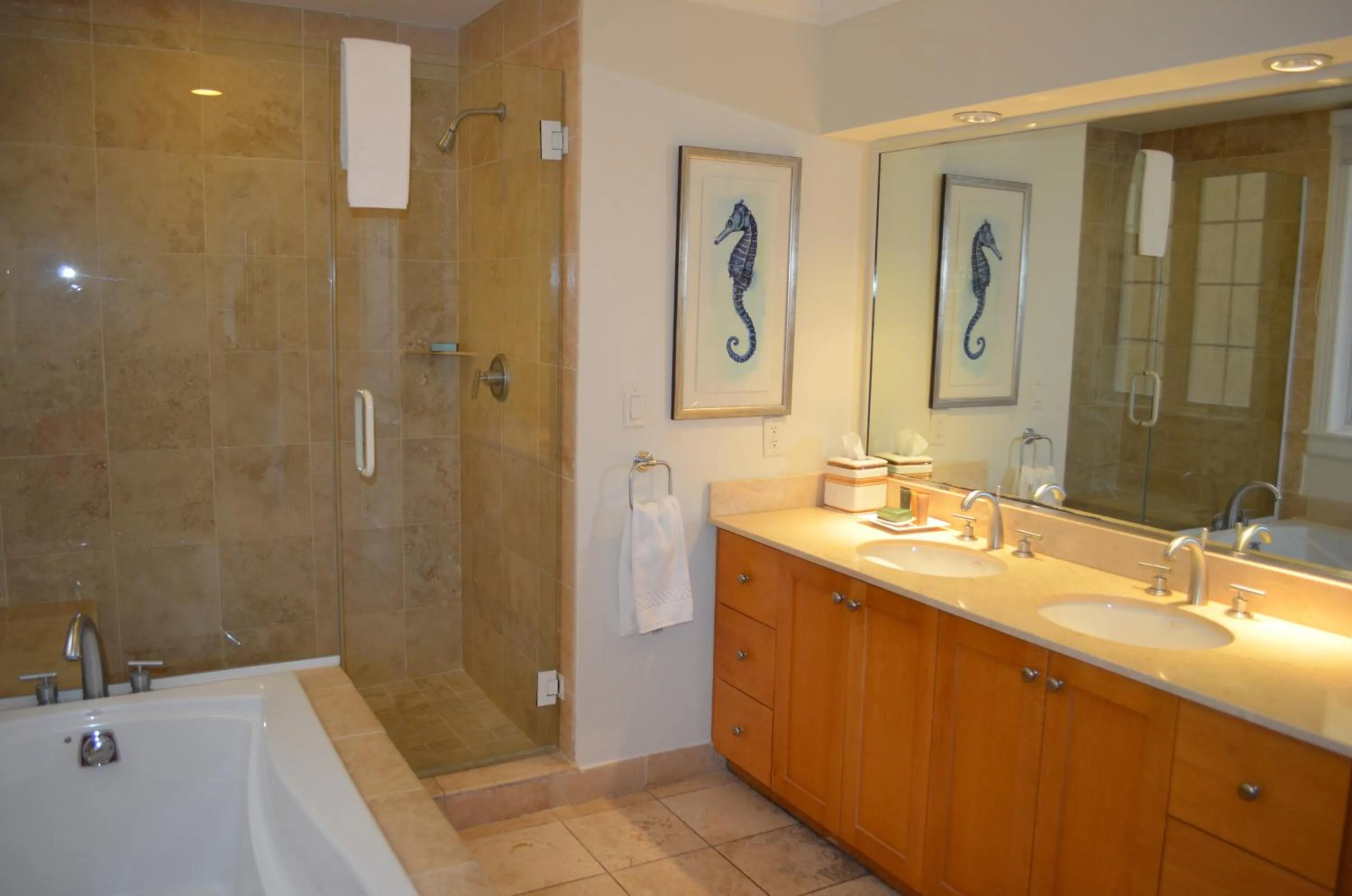 Shower in Villa Renaissance