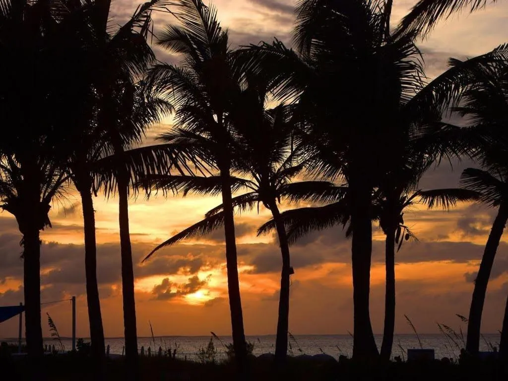 Natural landscape in Villa Renaissance