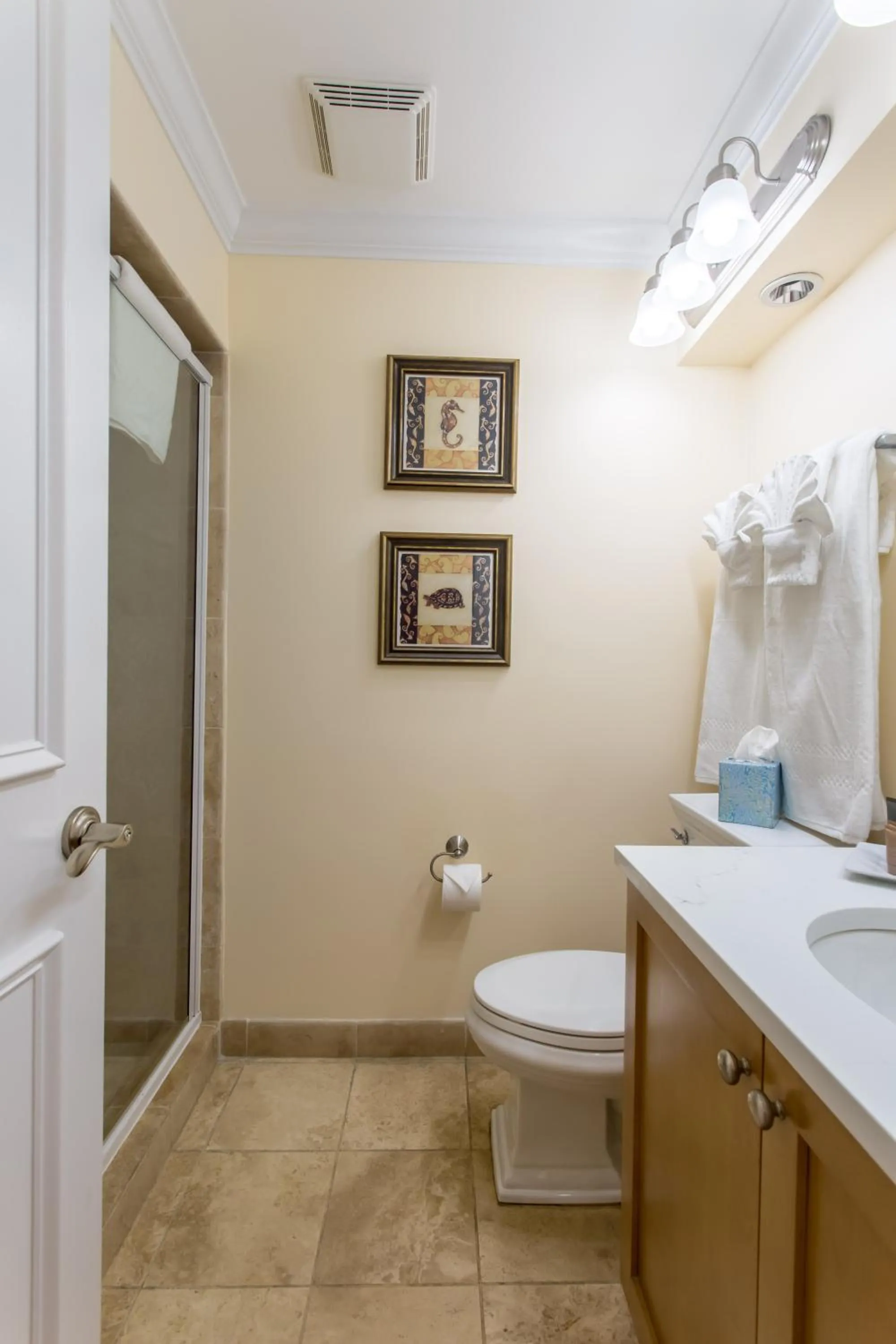 Toilet in Villa Renaissance