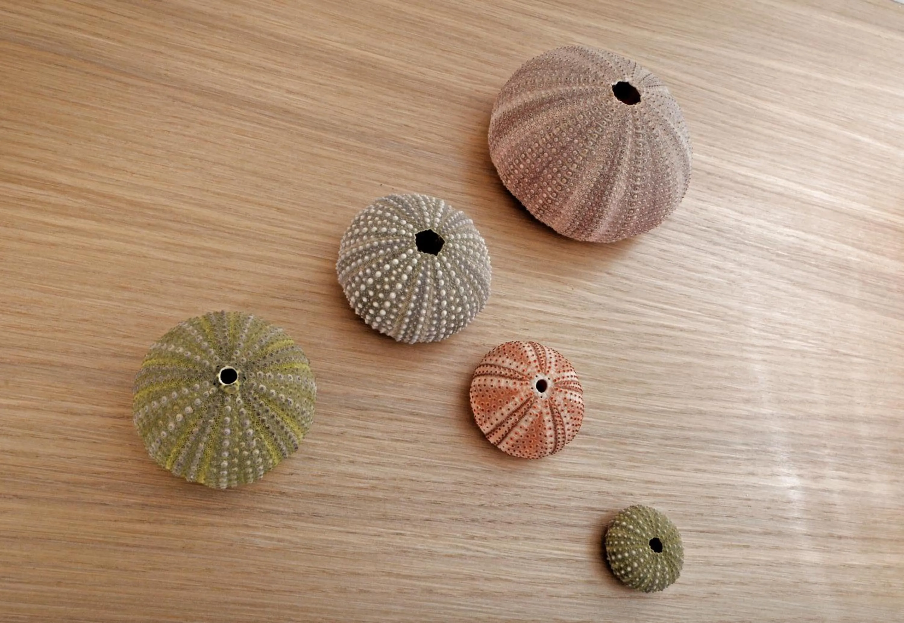 Bathroom in Ocean Villas Complex