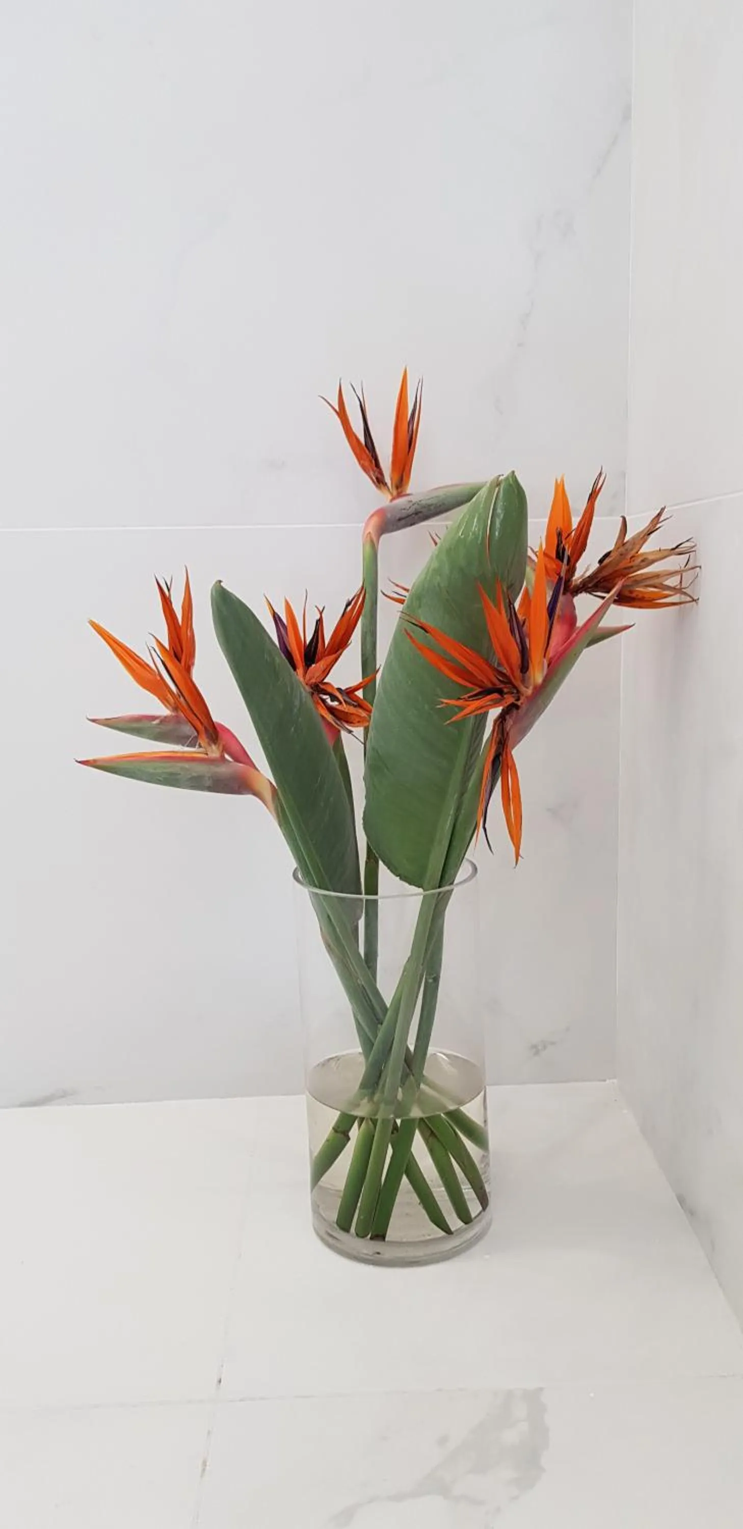 Shower in Ocean Villas Complex