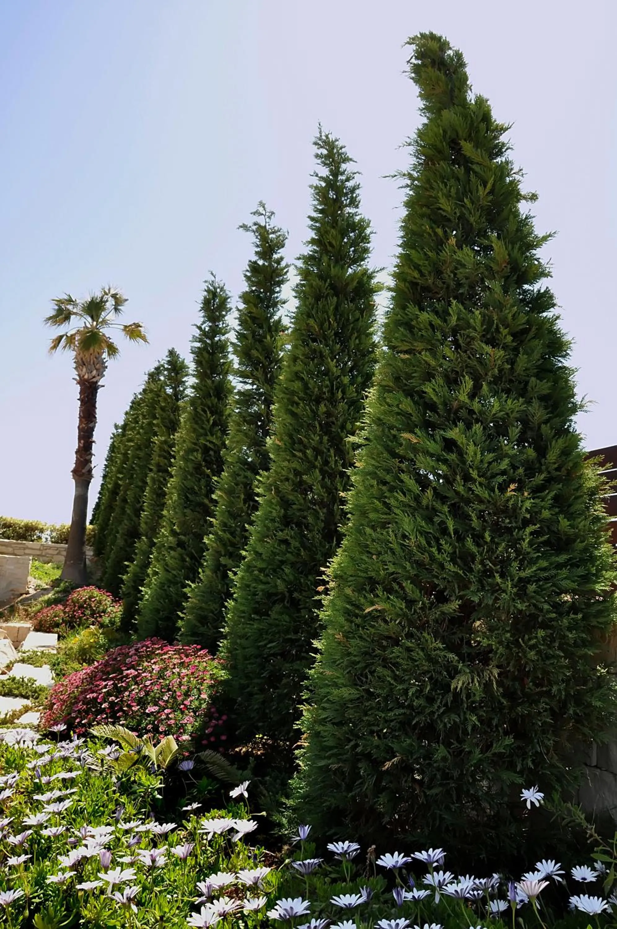 Garden in Ocean Villas Complex