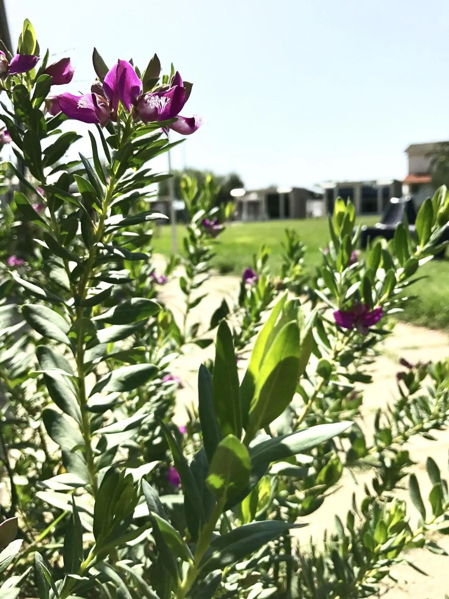 B&B Villa degli Angeli