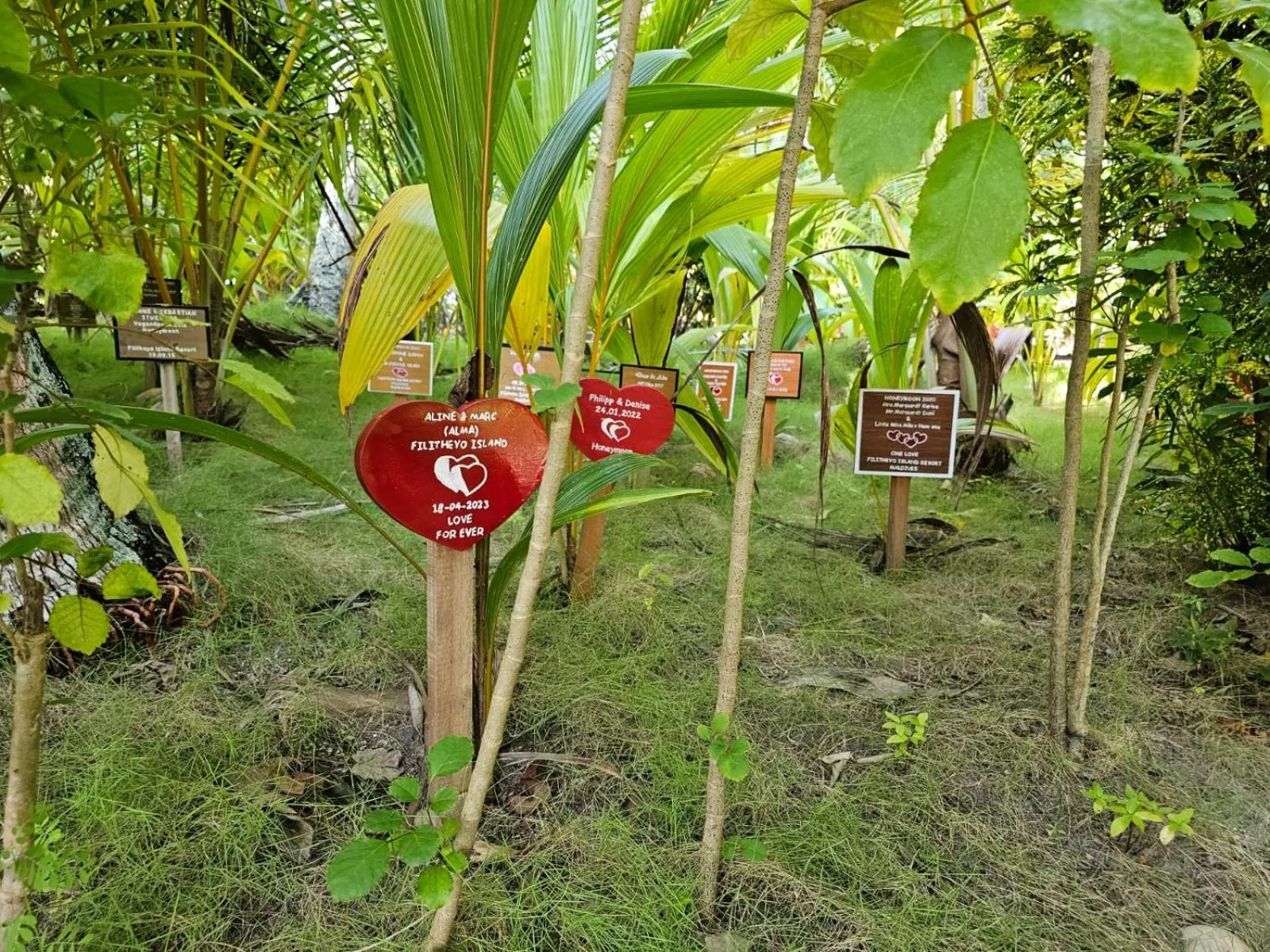 Garden in Filitheyo Island Resort