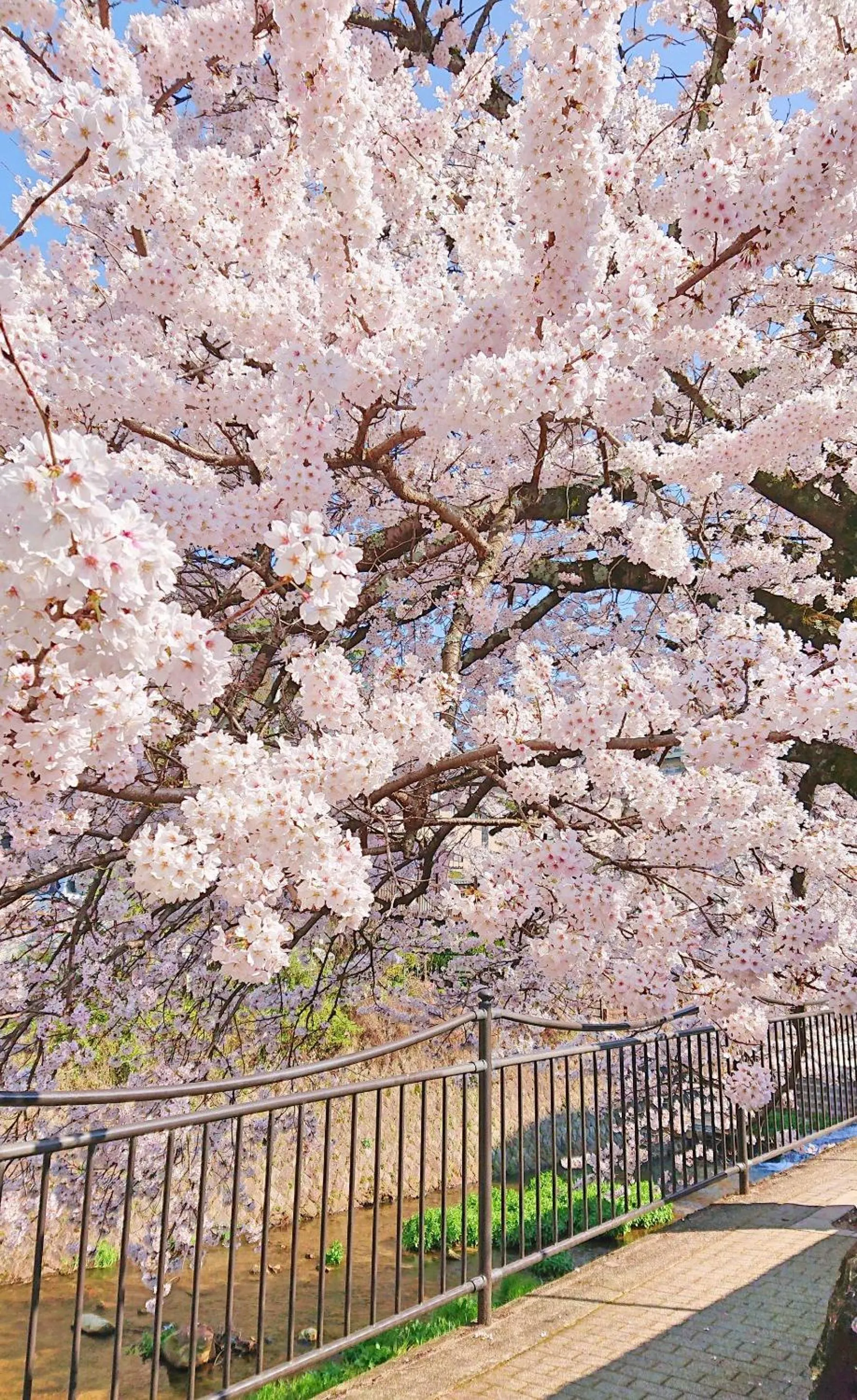 Nearby landmark in Merveille Arima