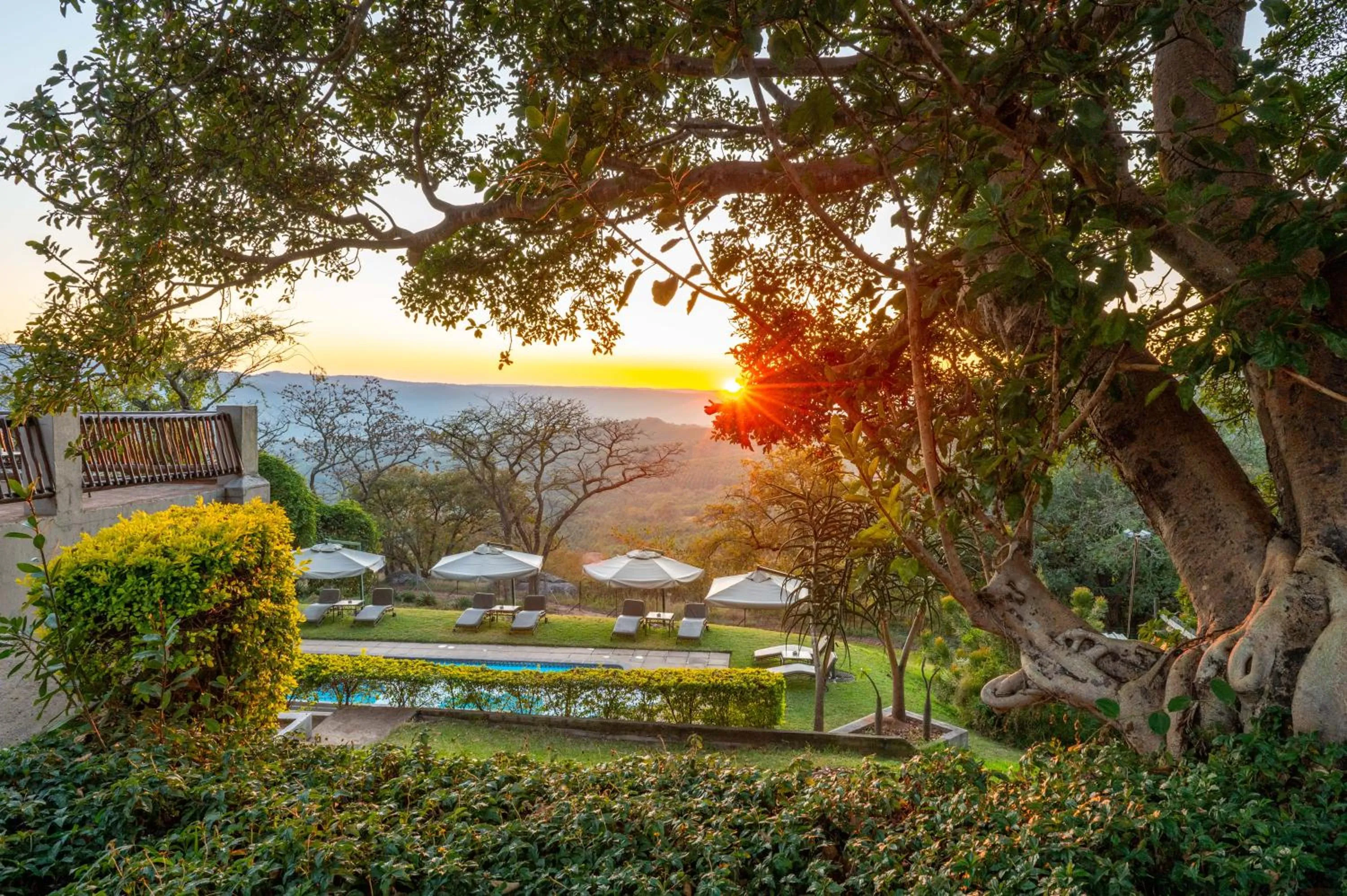 View (from property/room) in Chestnut Country Lodge
