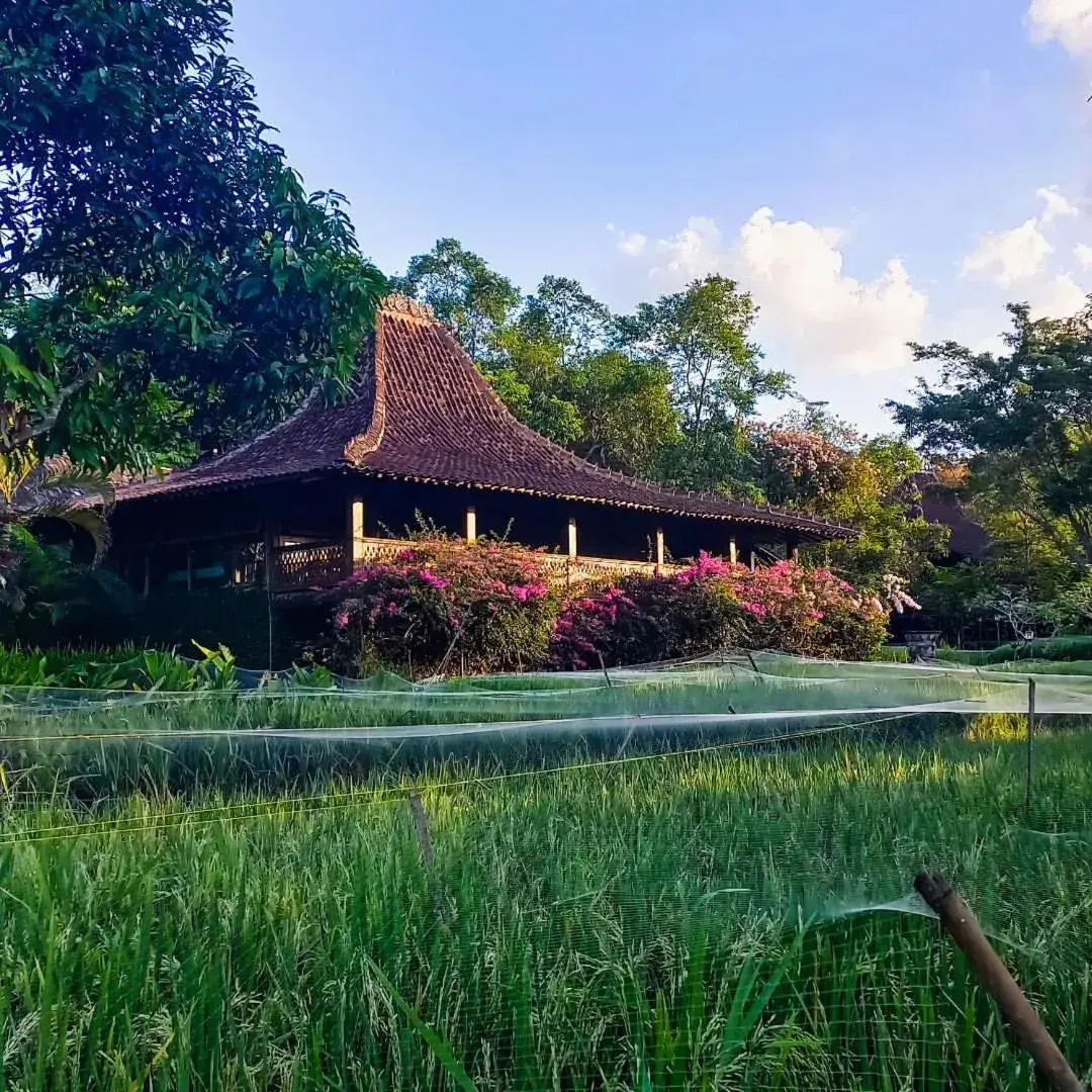 Property building in Hills Joglo Villa Property building in Hills Joglo Villa