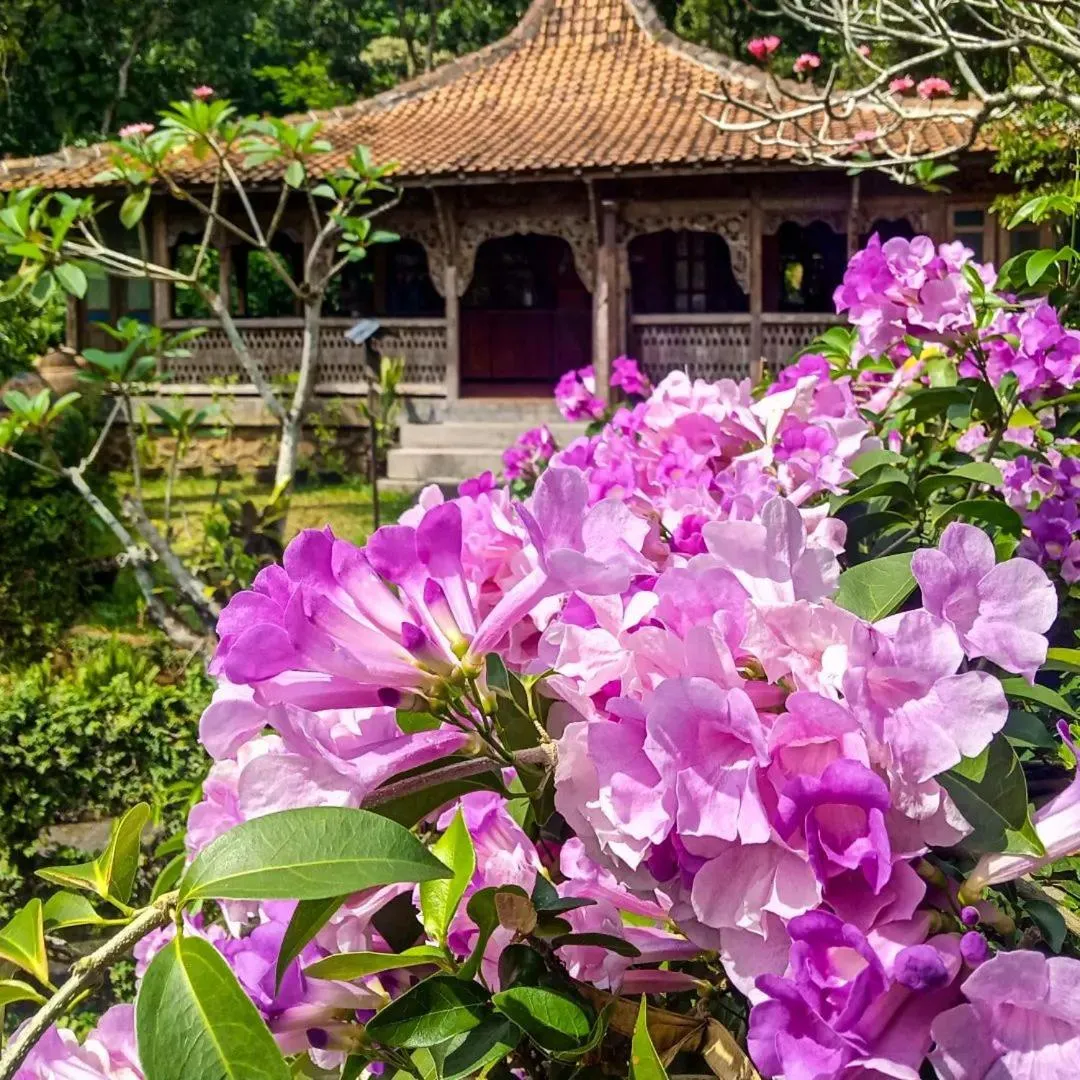 Natural landscape in Hills Joglo Villa