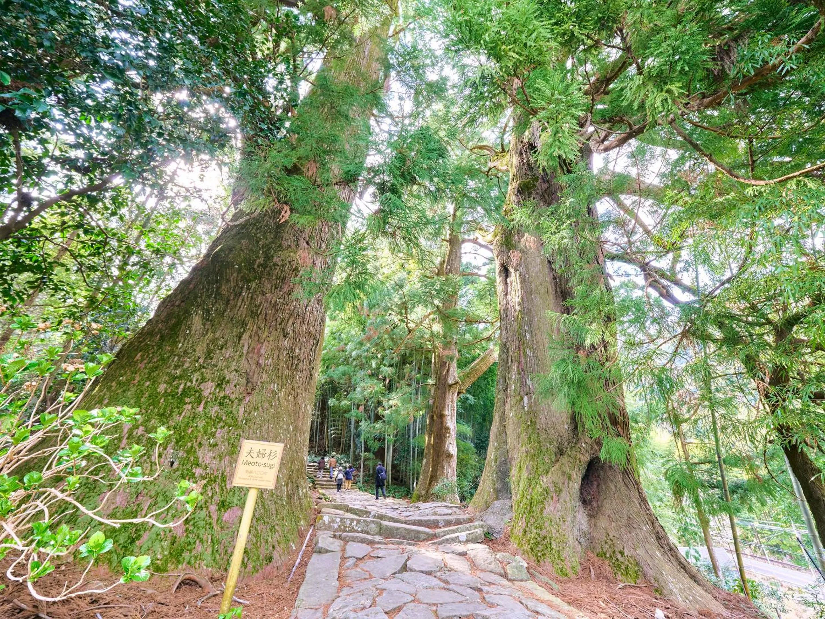 Nearby landmark in Kokoyui Guest House