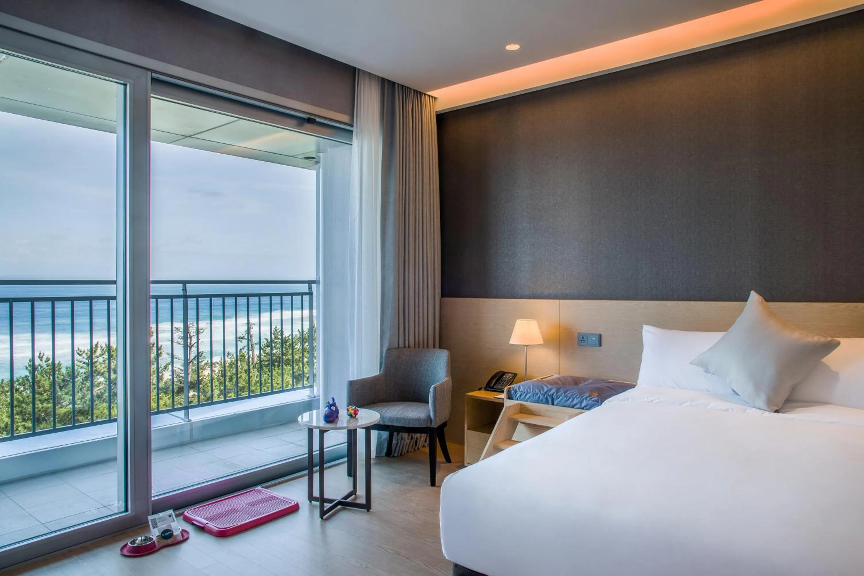 Animals, Bed in St. John's Hotel