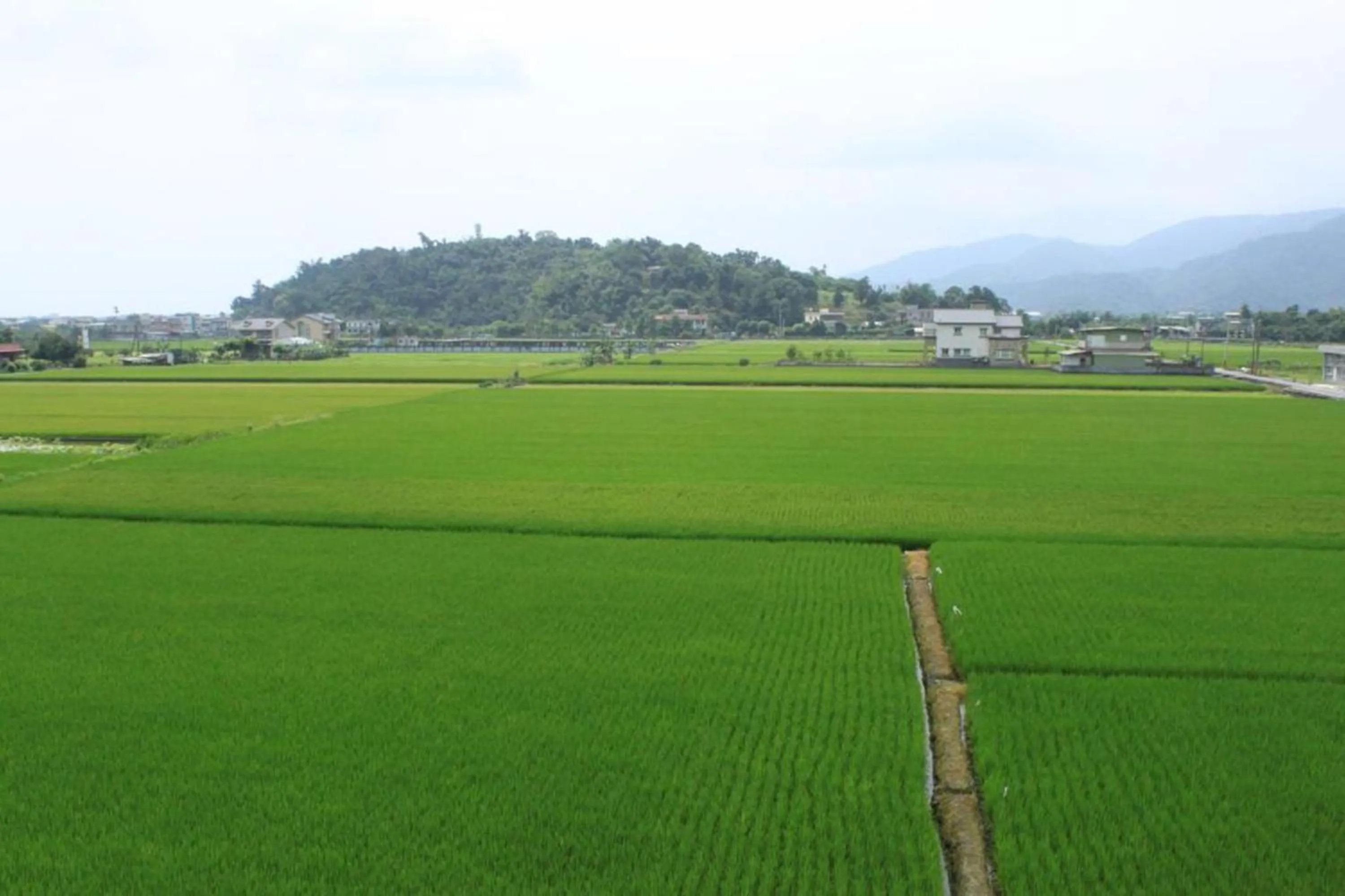 Garden view in Aqua Star Villa Homestay