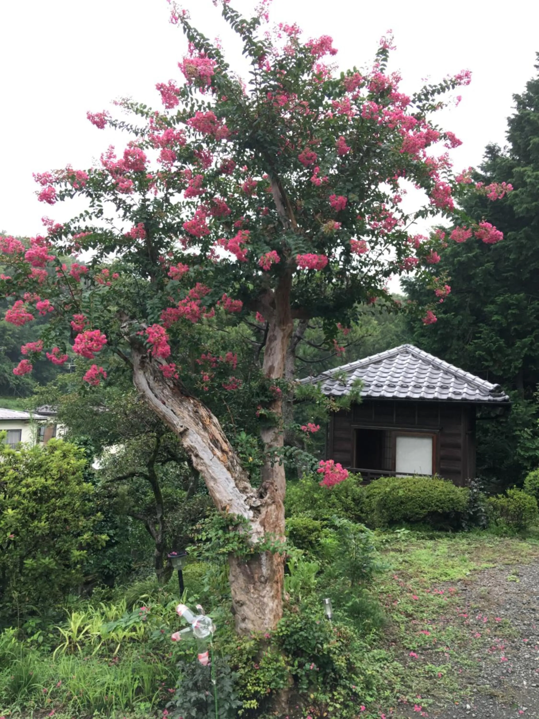 Kougetsu Sanso -- Moon Villa in Tokyo