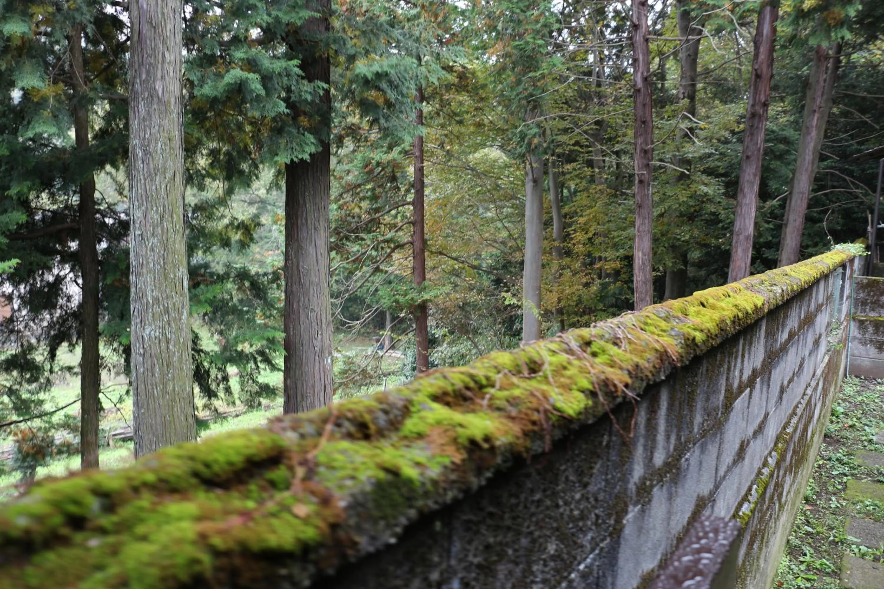 Kougetsu Sanso -- Moon Villa in Tokyo