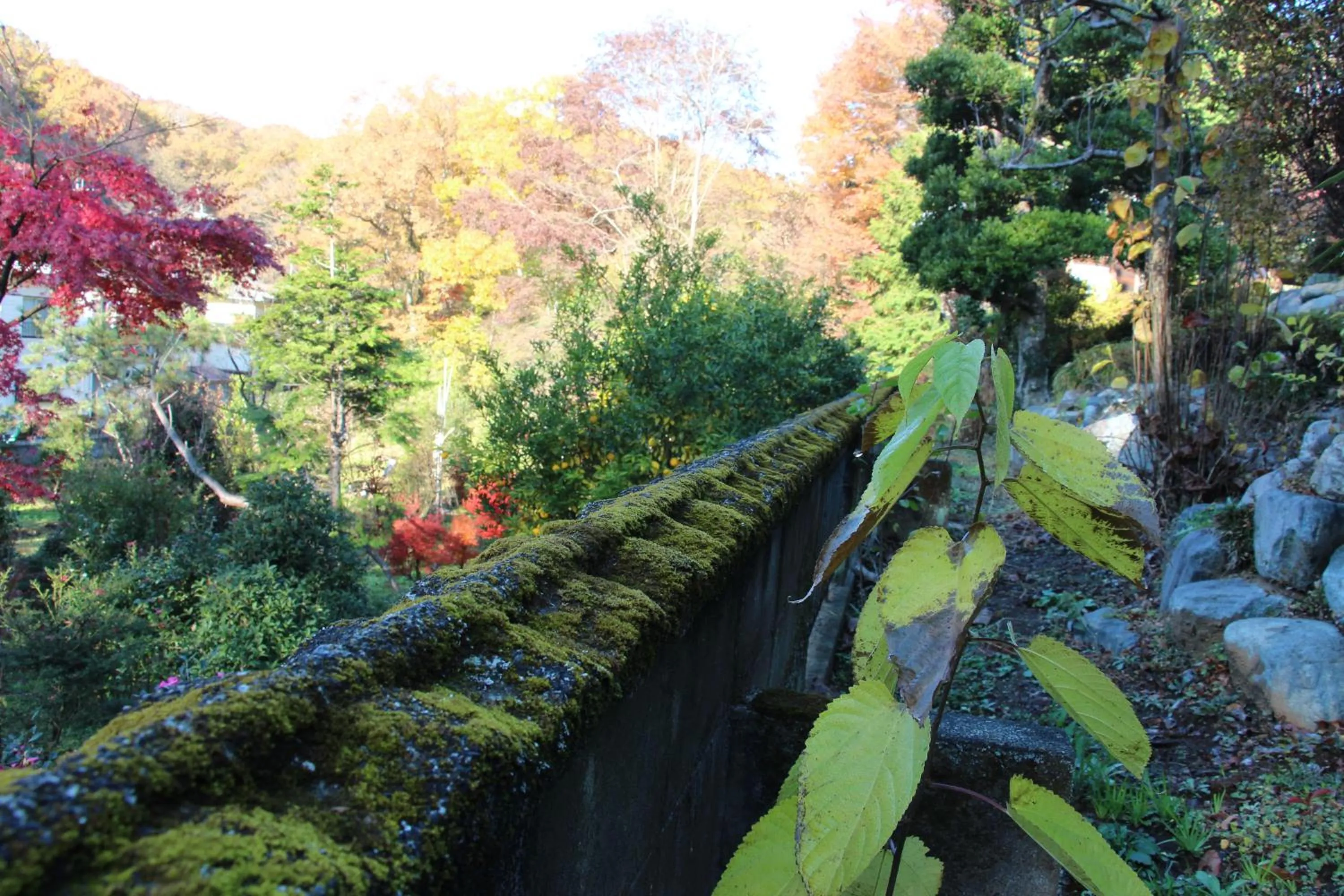 Kougetsu Sanso -- Moon Villa in Tokyo