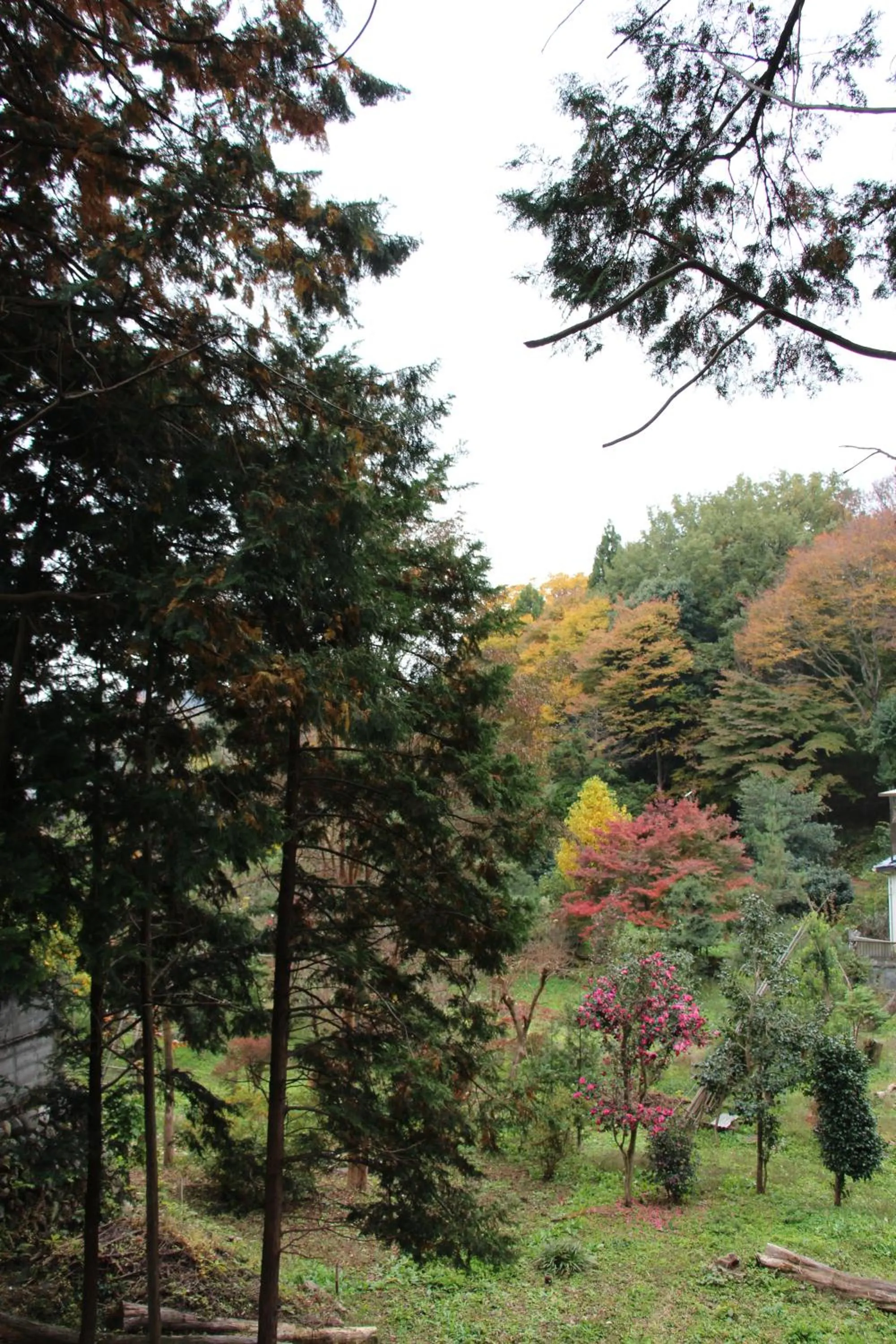 Kougetsu Sanso -- Moon Villa in Tokyo