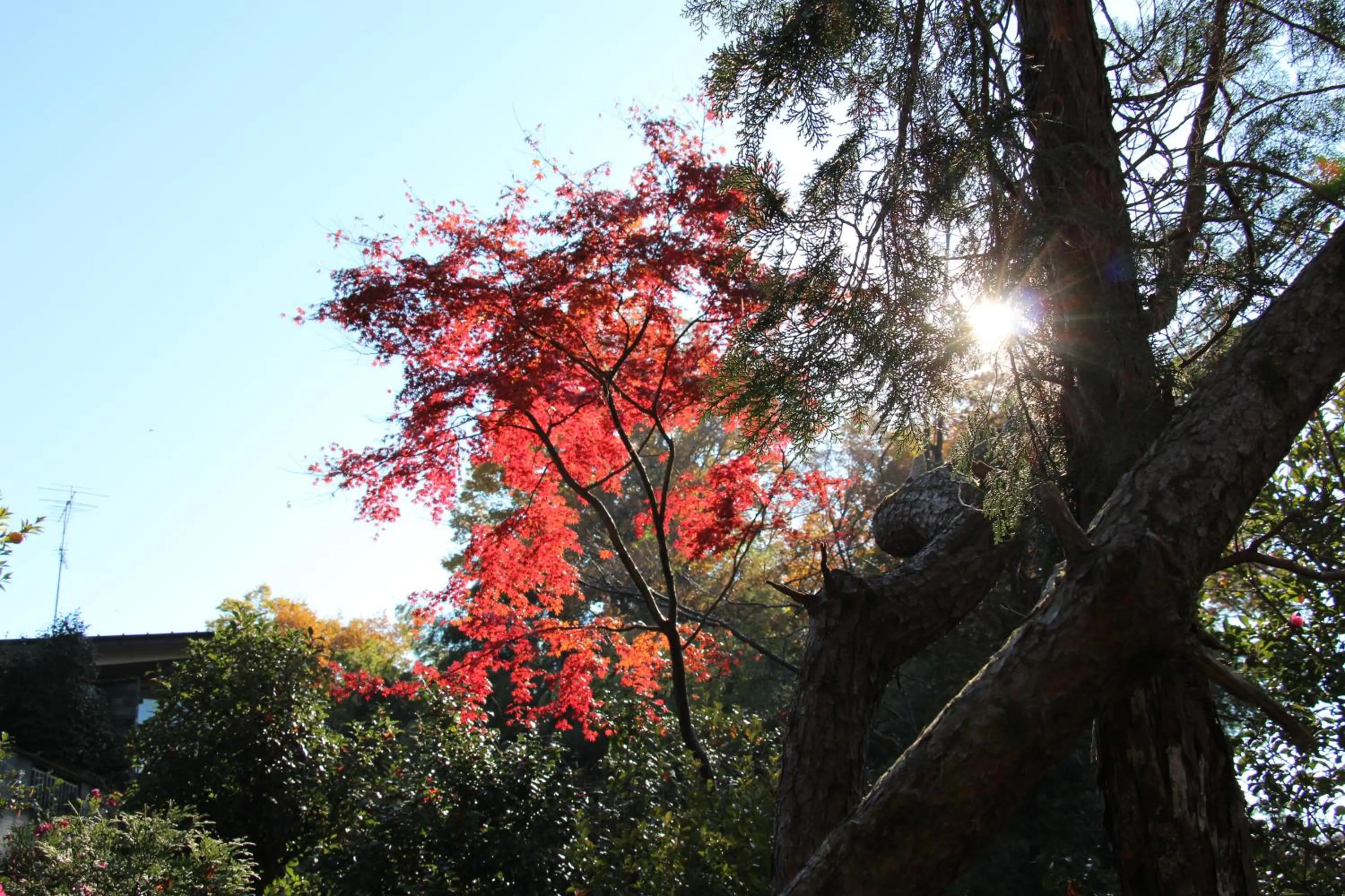 Kougetsu Sanso -- Moon Villa in Tokyo