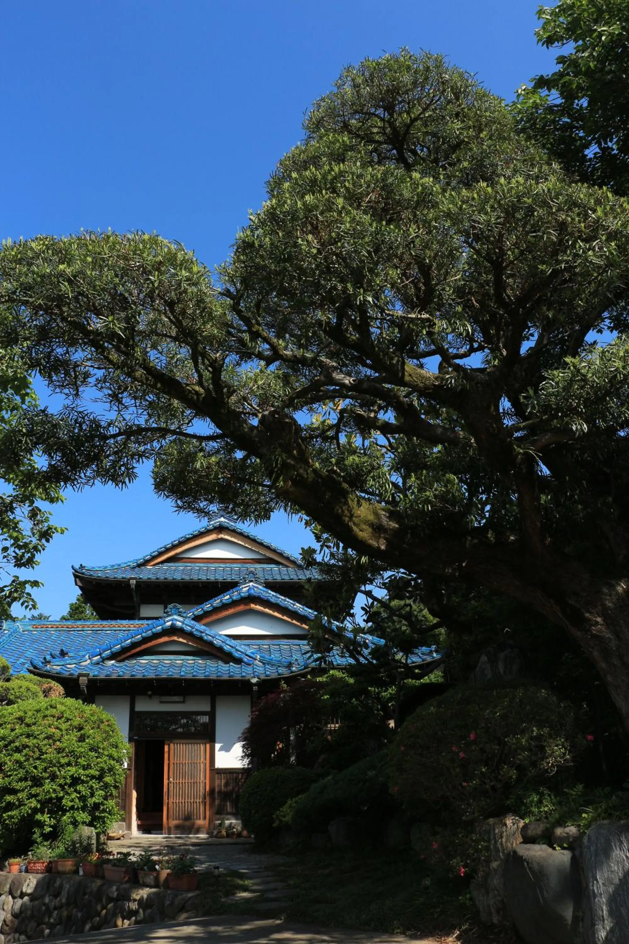 Summer in Kougetsu Sanso -- Moon Villa in Tokyo