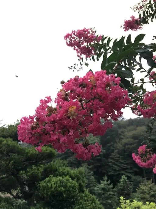 Kougetsu Sanso -- Moon Villa in Tokyo
