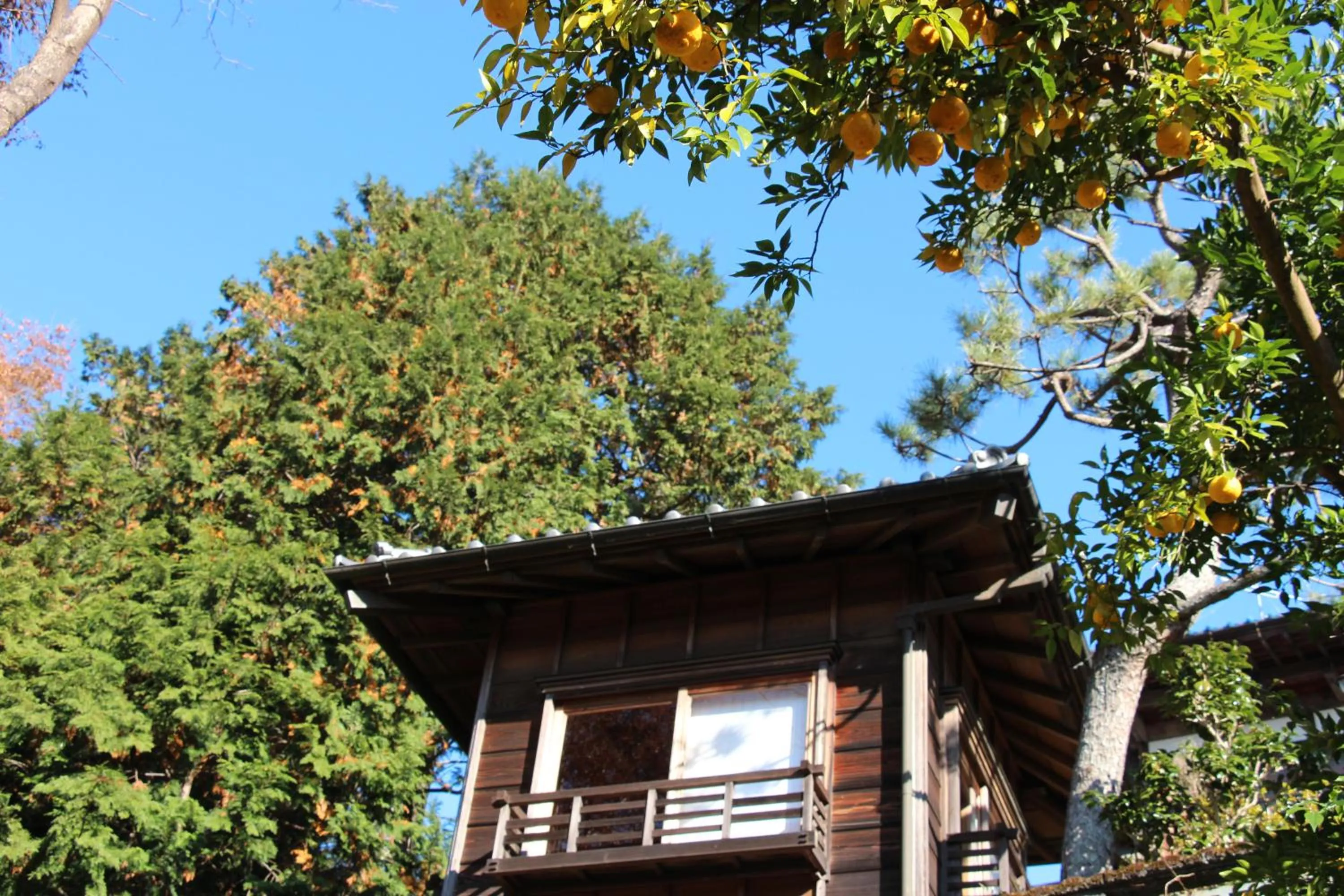 Kougetsu Sanso -- Moon Villa in Tokyo