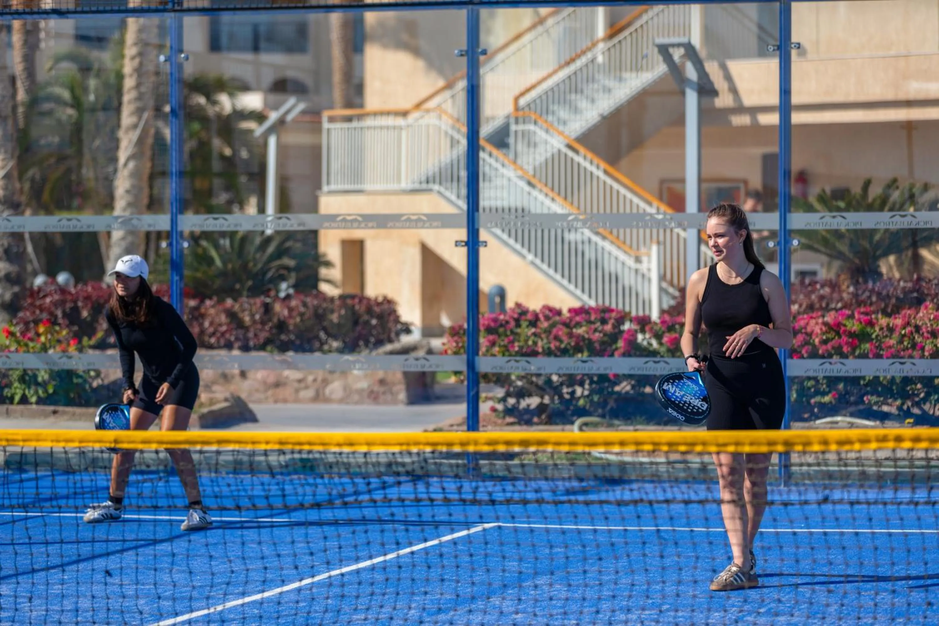 Activities in Pickalbatros Royal Moderna Sharm "Aqua Park"- All inclusive