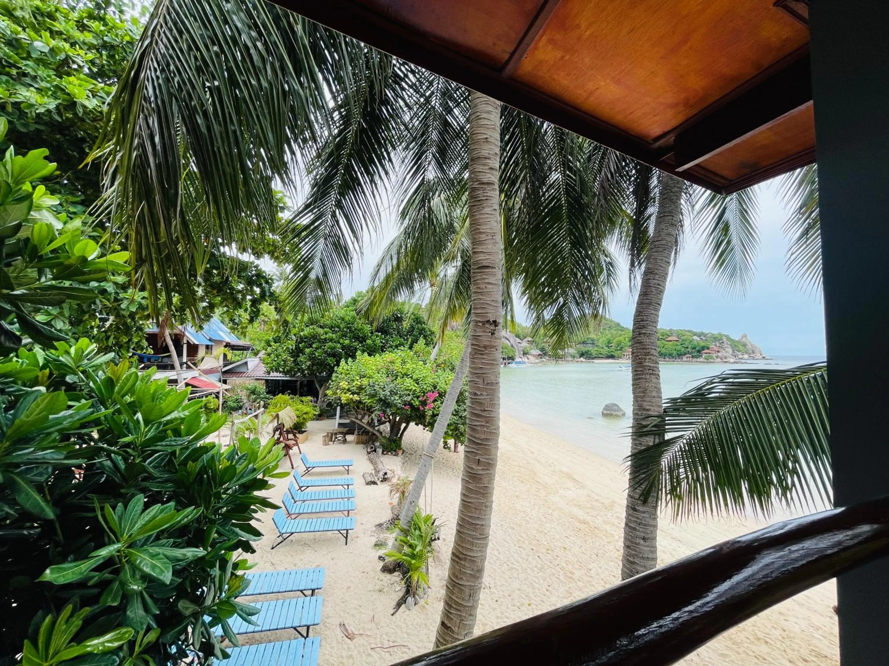 Big Fish Resort Koh Tao