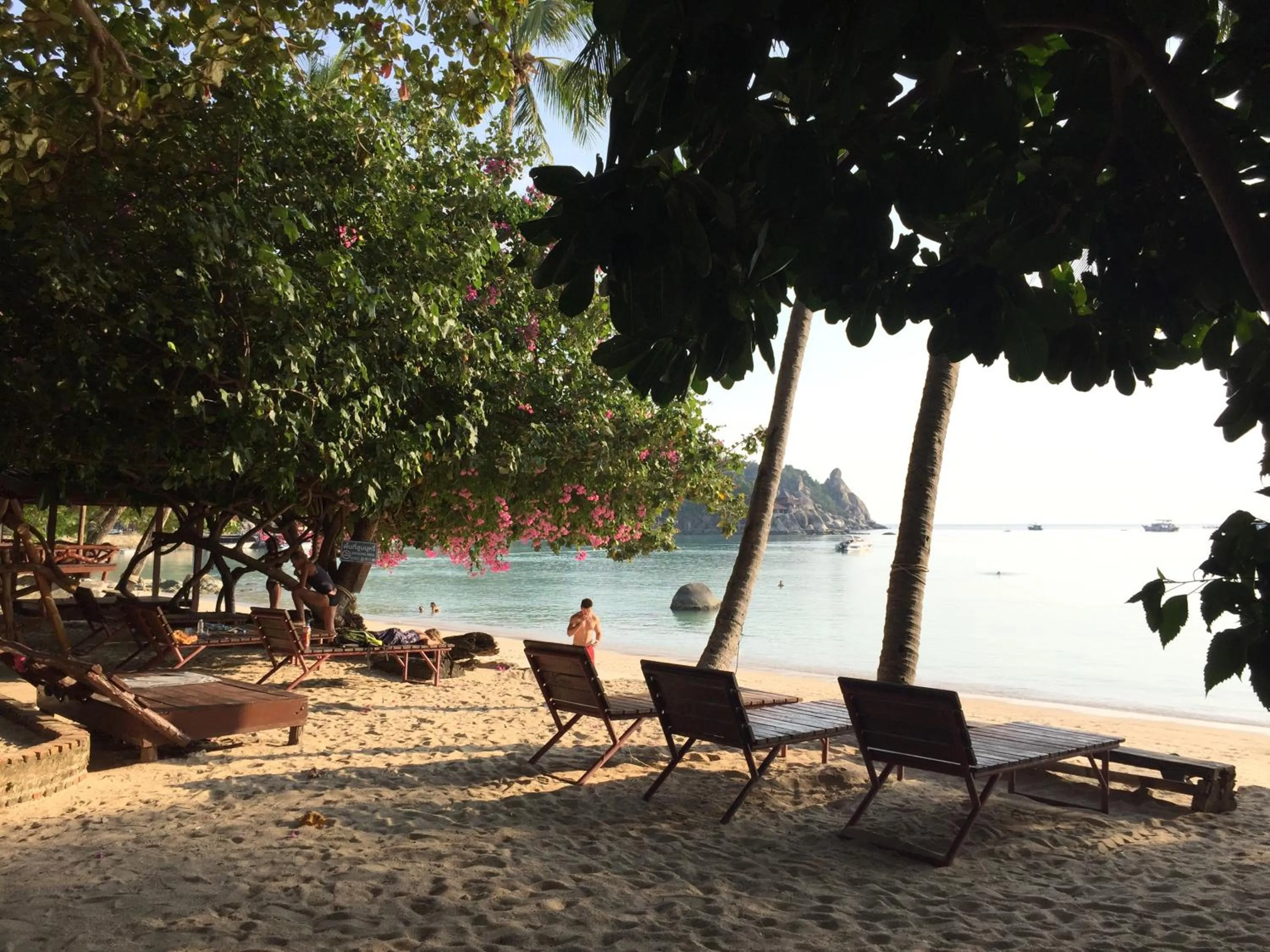 Big Fish Resort Koh Tao