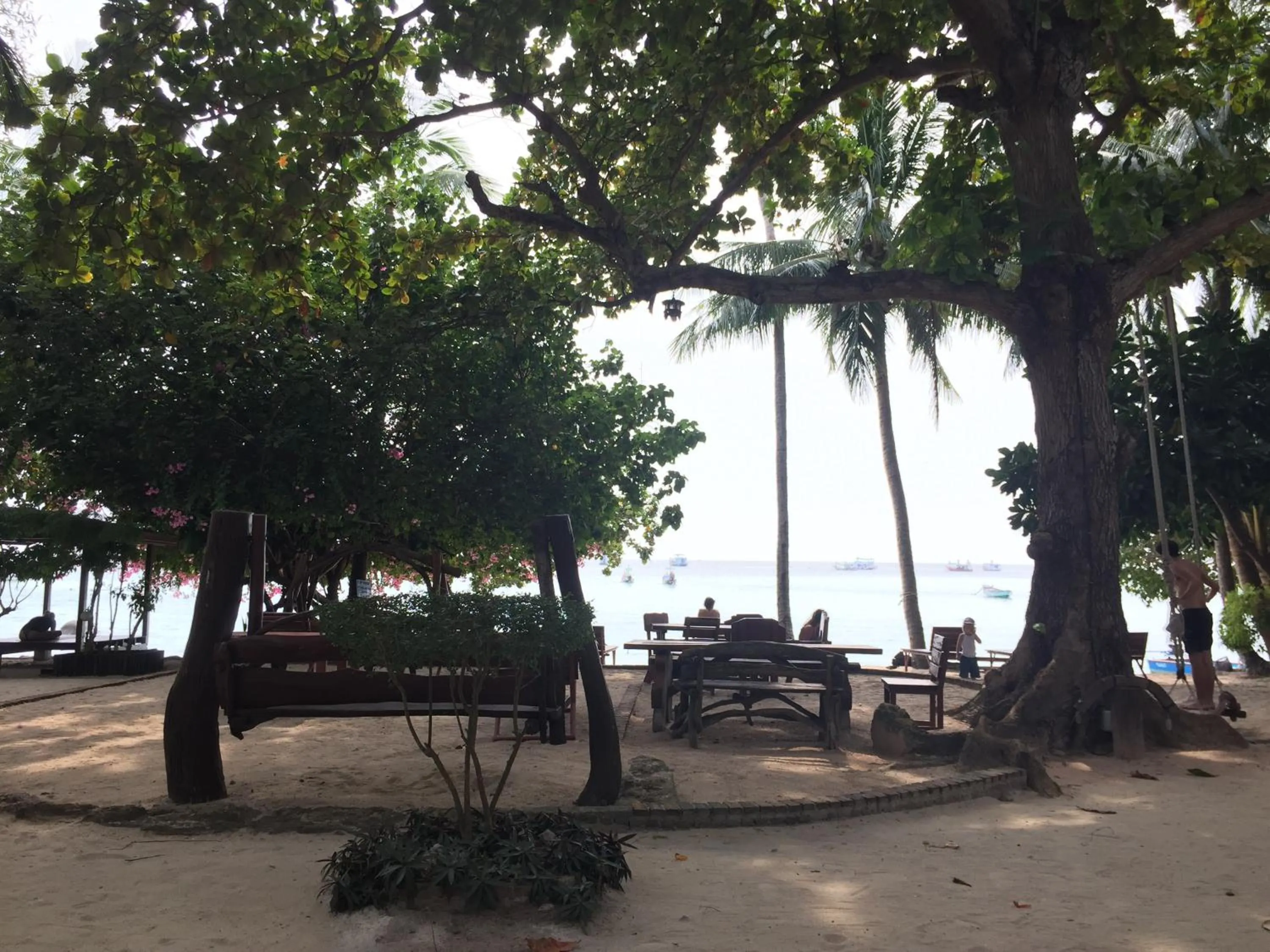 Big Fish Resort Koh Tao