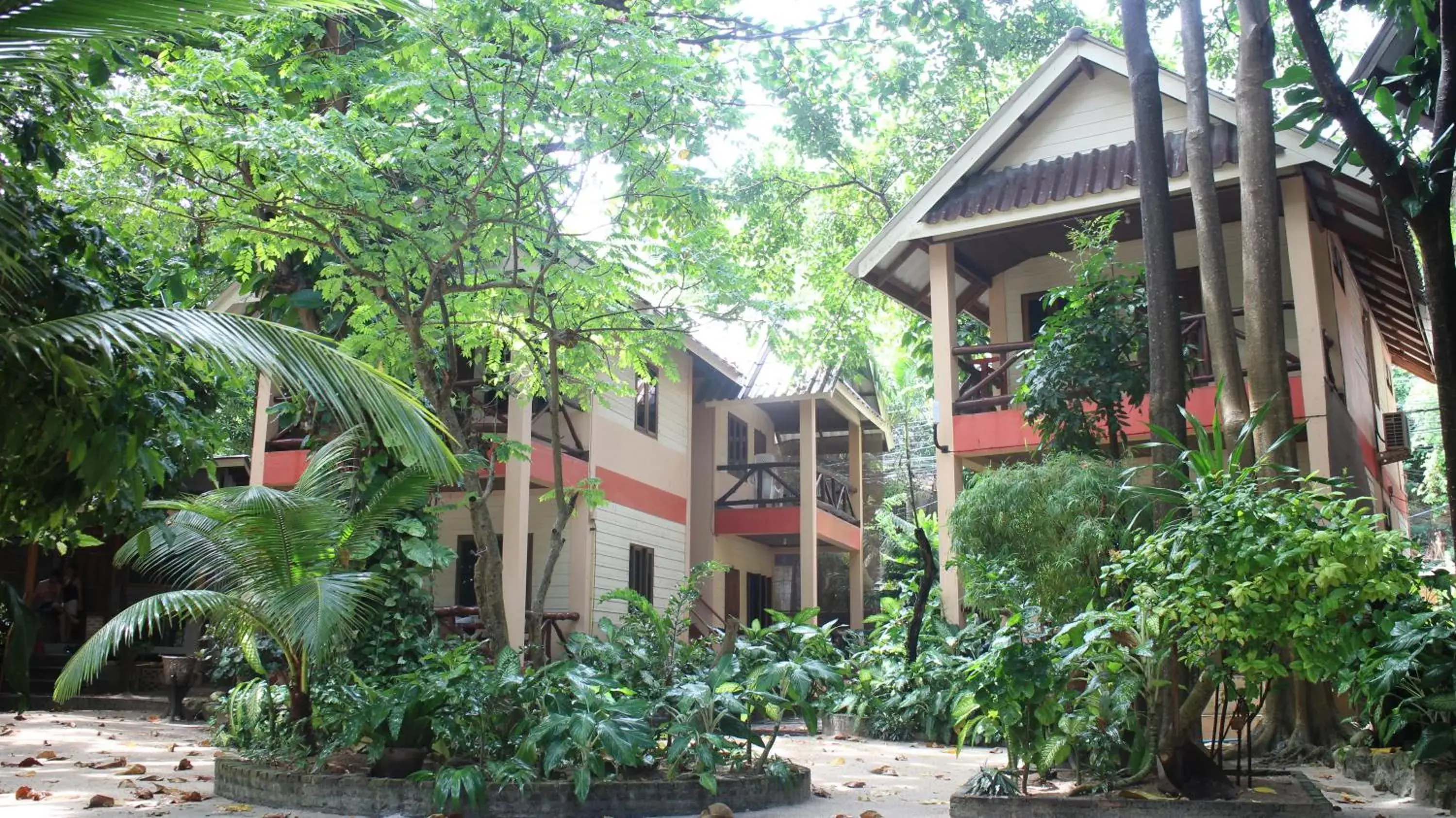 Property building in Big Fish Resort Koh Tao Property building in Big Fish Resort Koh Tao