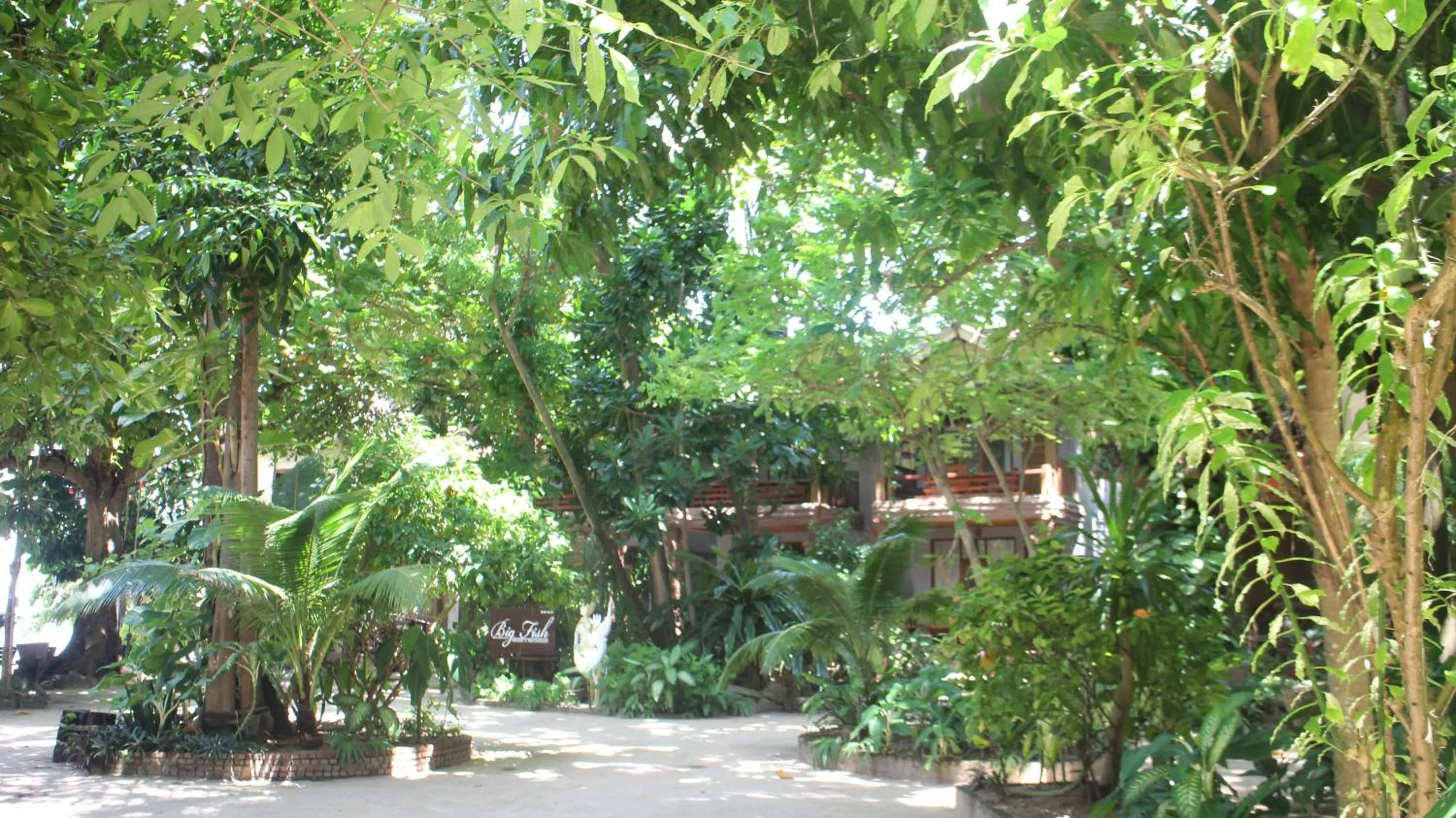 Big Fish Resort Koh Tao