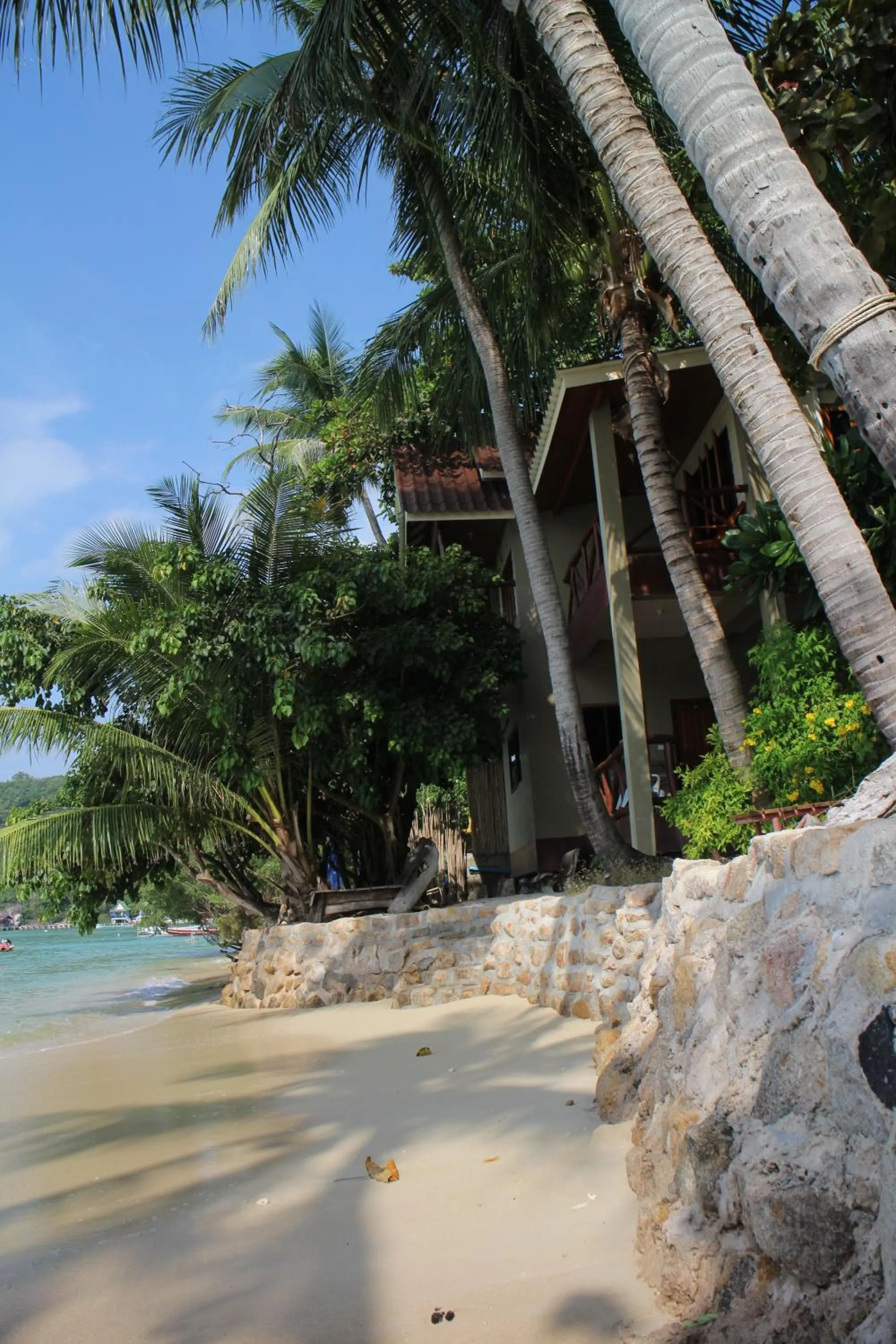 Big Fish Resort Koh Tao