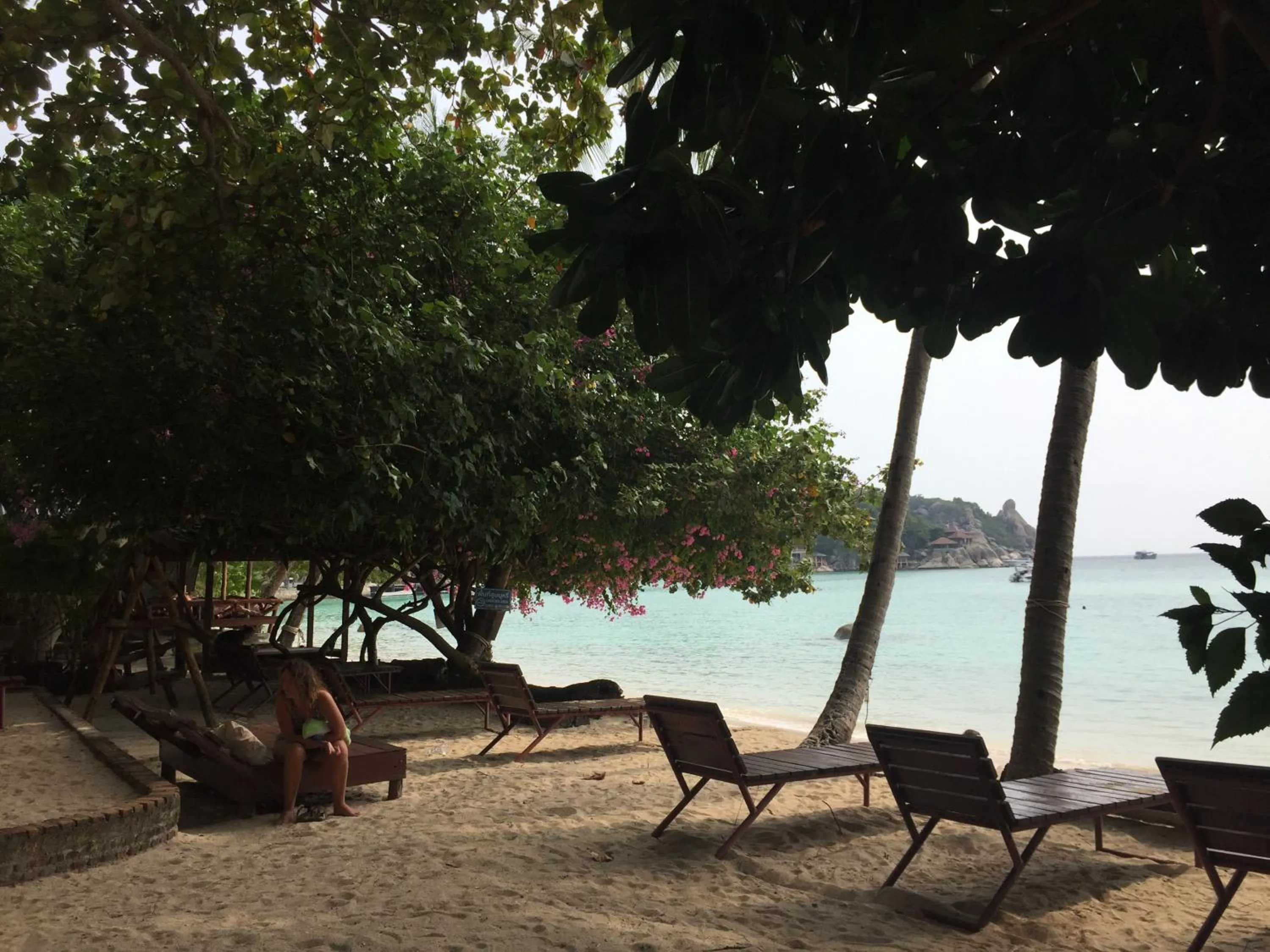 Big Fish Resort Koh Tao