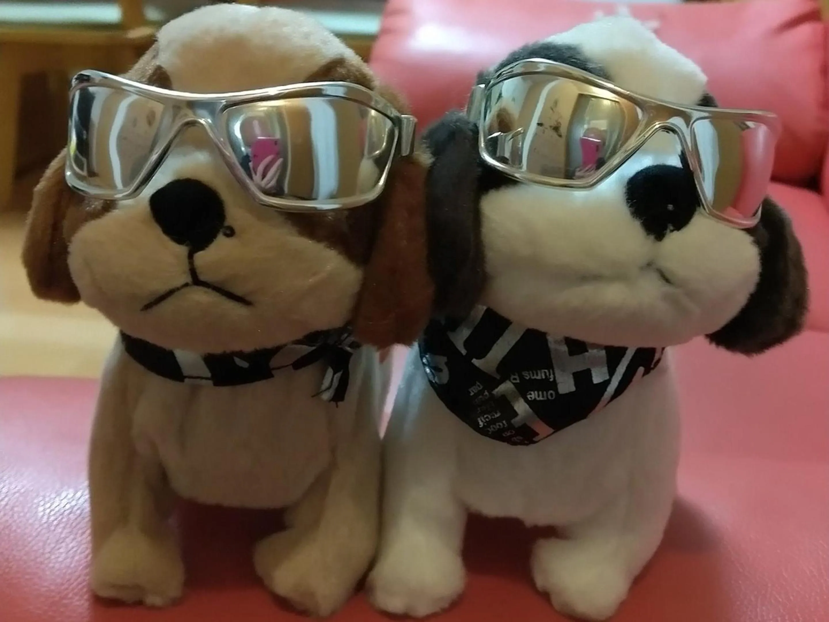 Animals in Tama Hotel