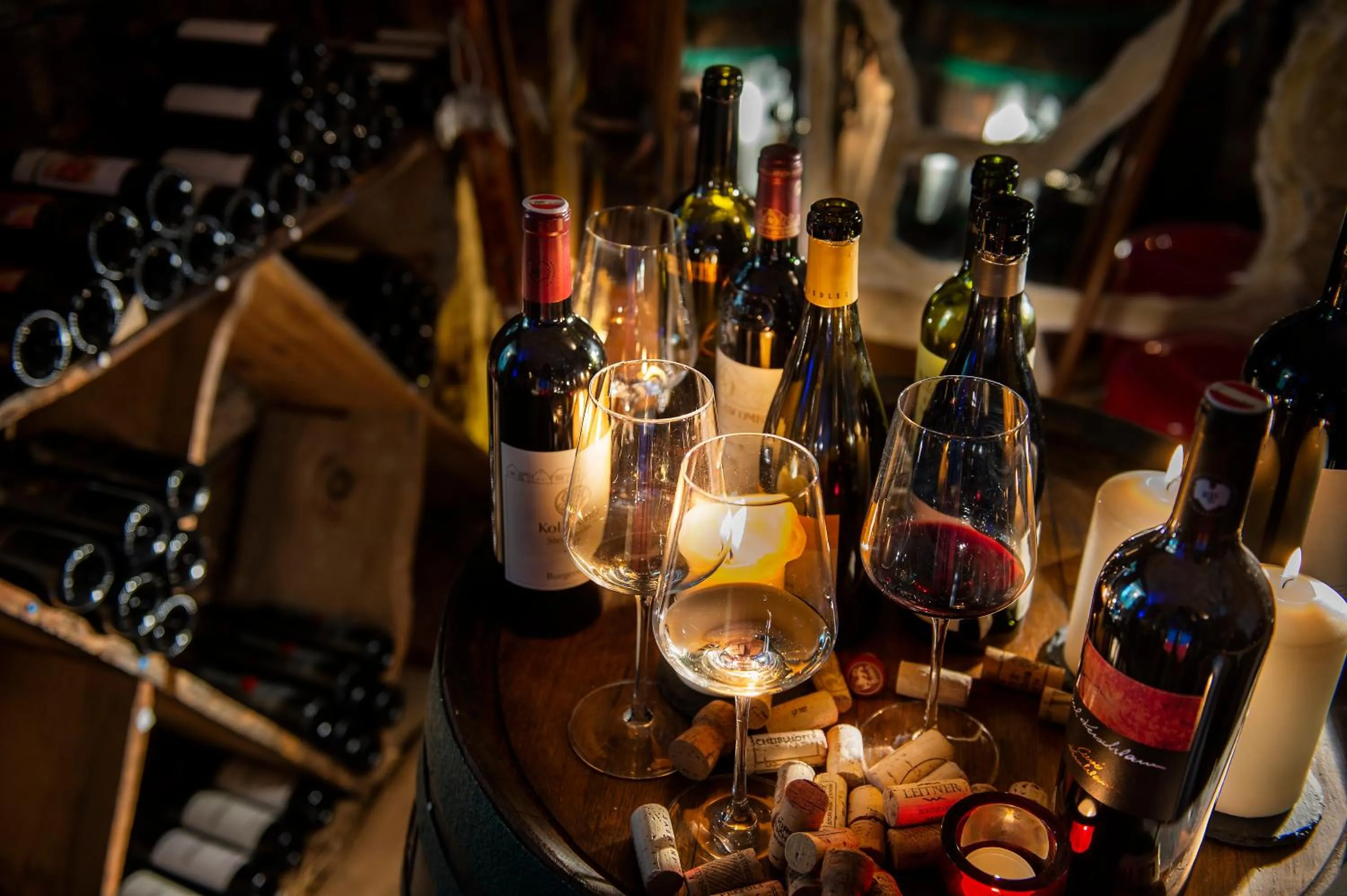 Lounge or bar in Alpvita Piz Tasna