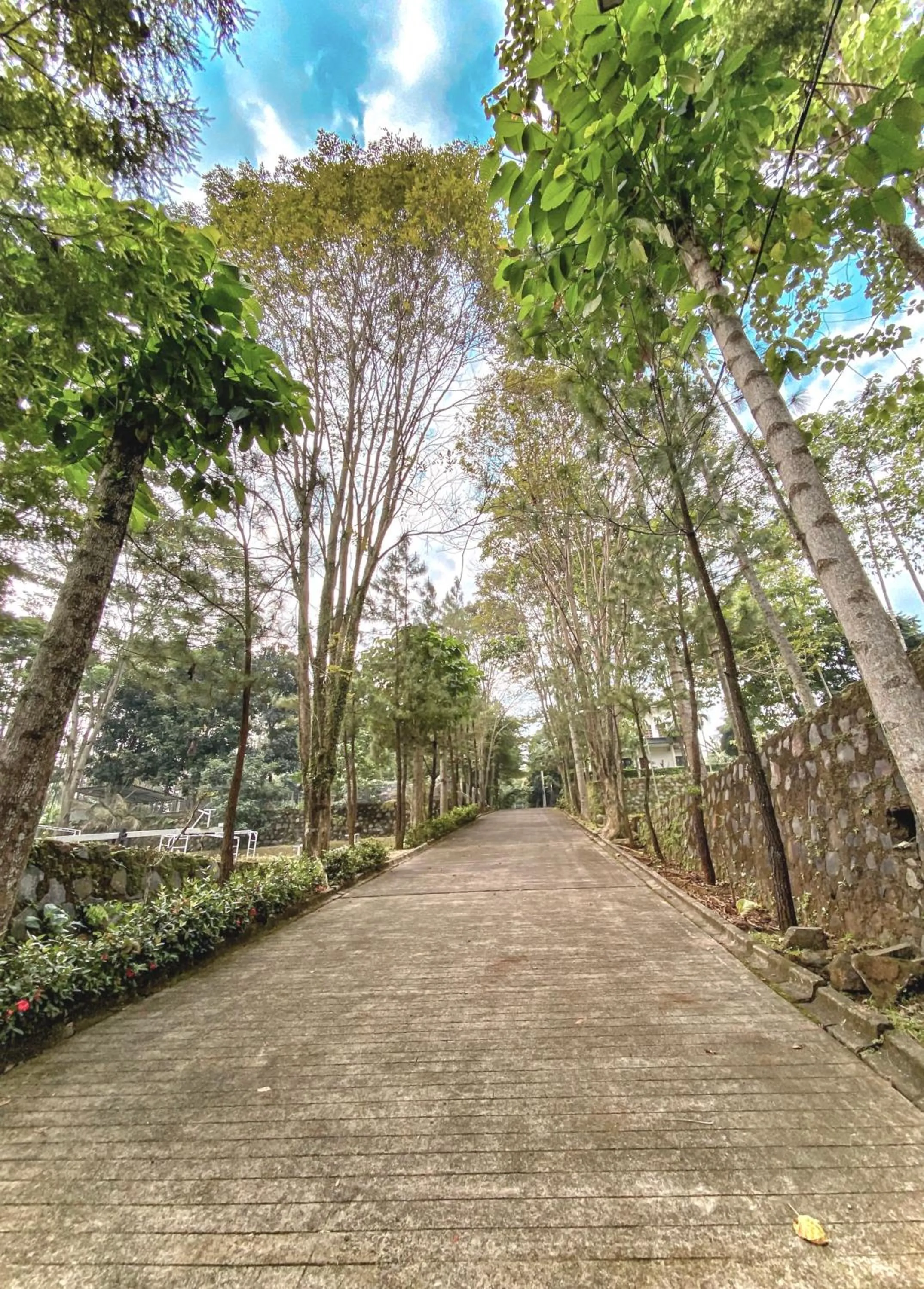 New Green Sentul Resort