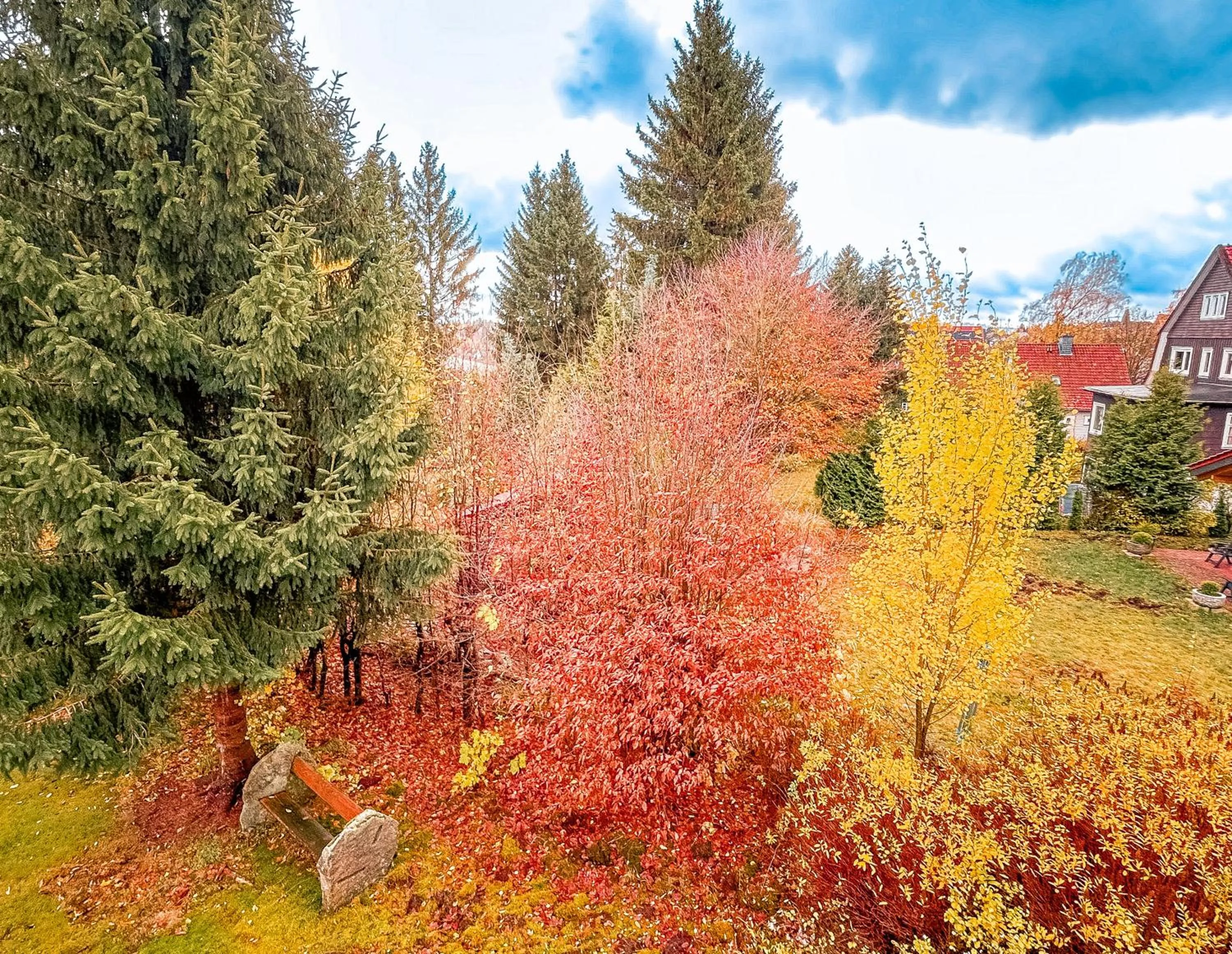 View (from property/room) in Hotel Carlsruh