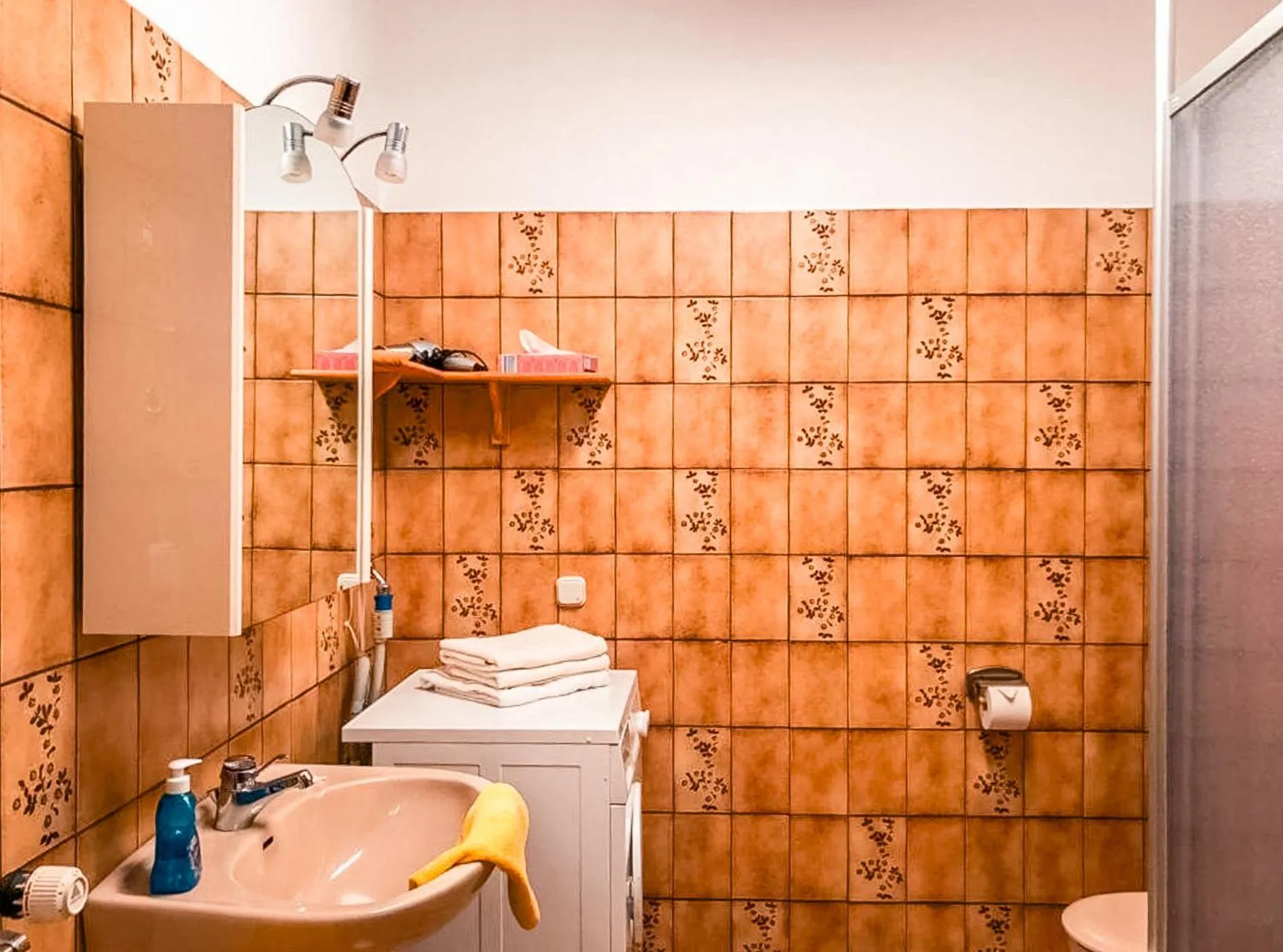 Toilet in Hotel Carlsruh