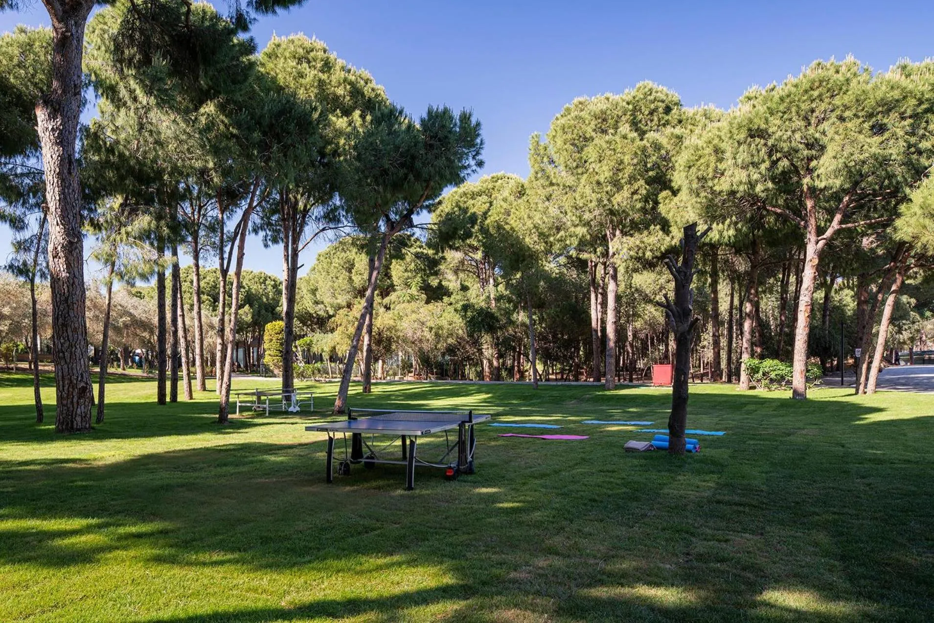 Activities in Voyage Belek Golf & Spa Hotel