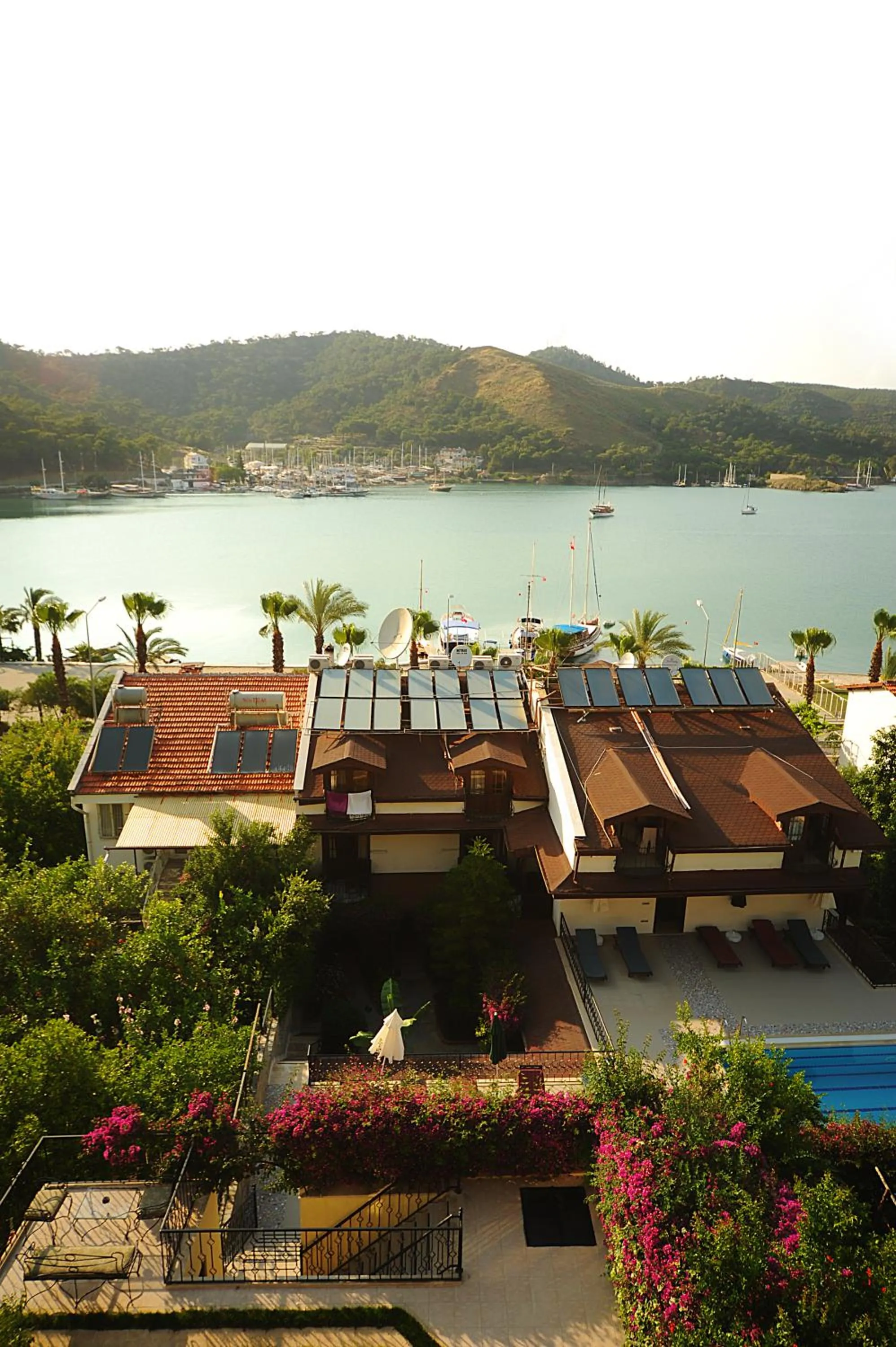 Day in Hotel Villa Daffodil